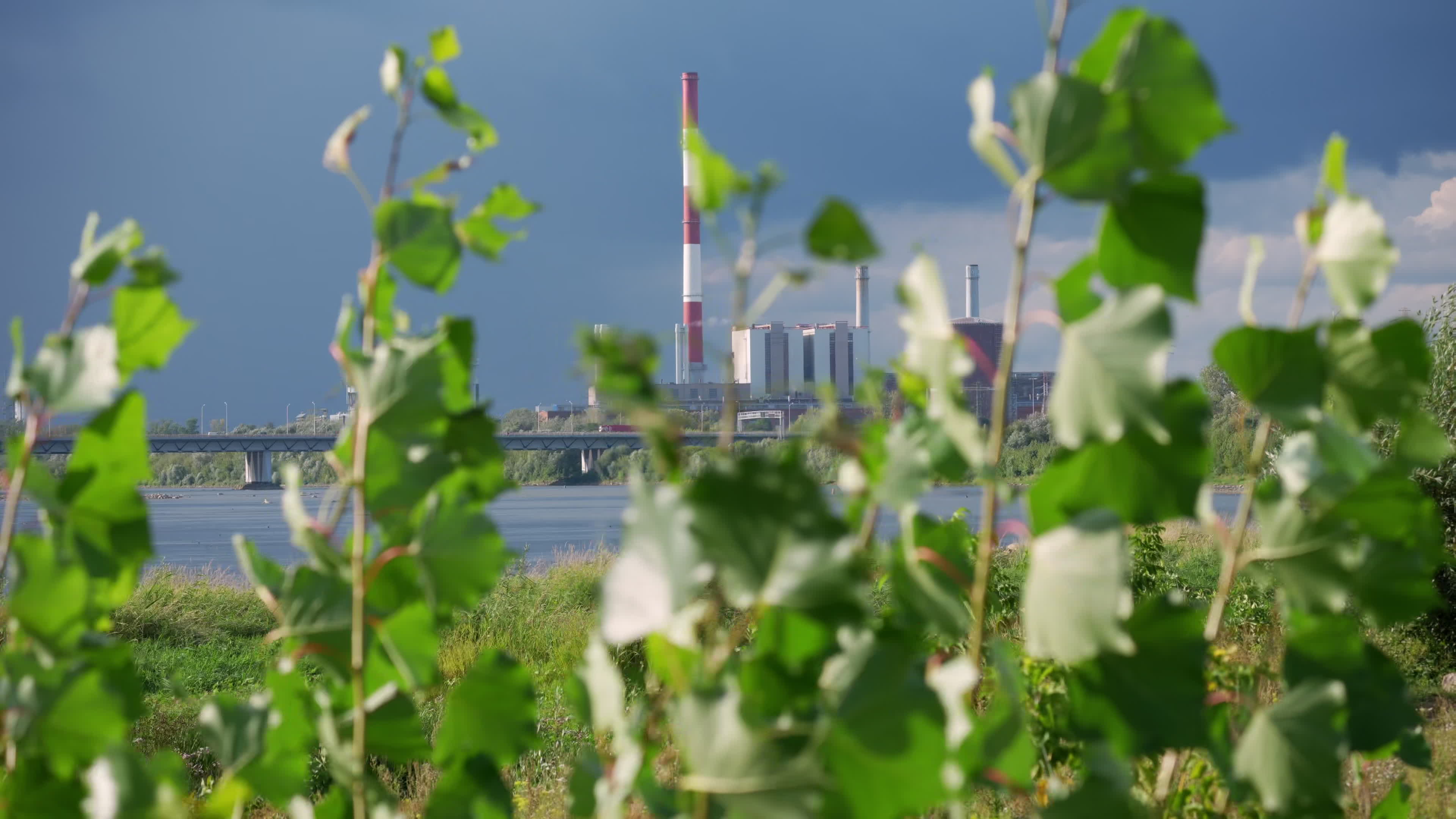 Vistula river remains at critically low levels as hydrological drought continues