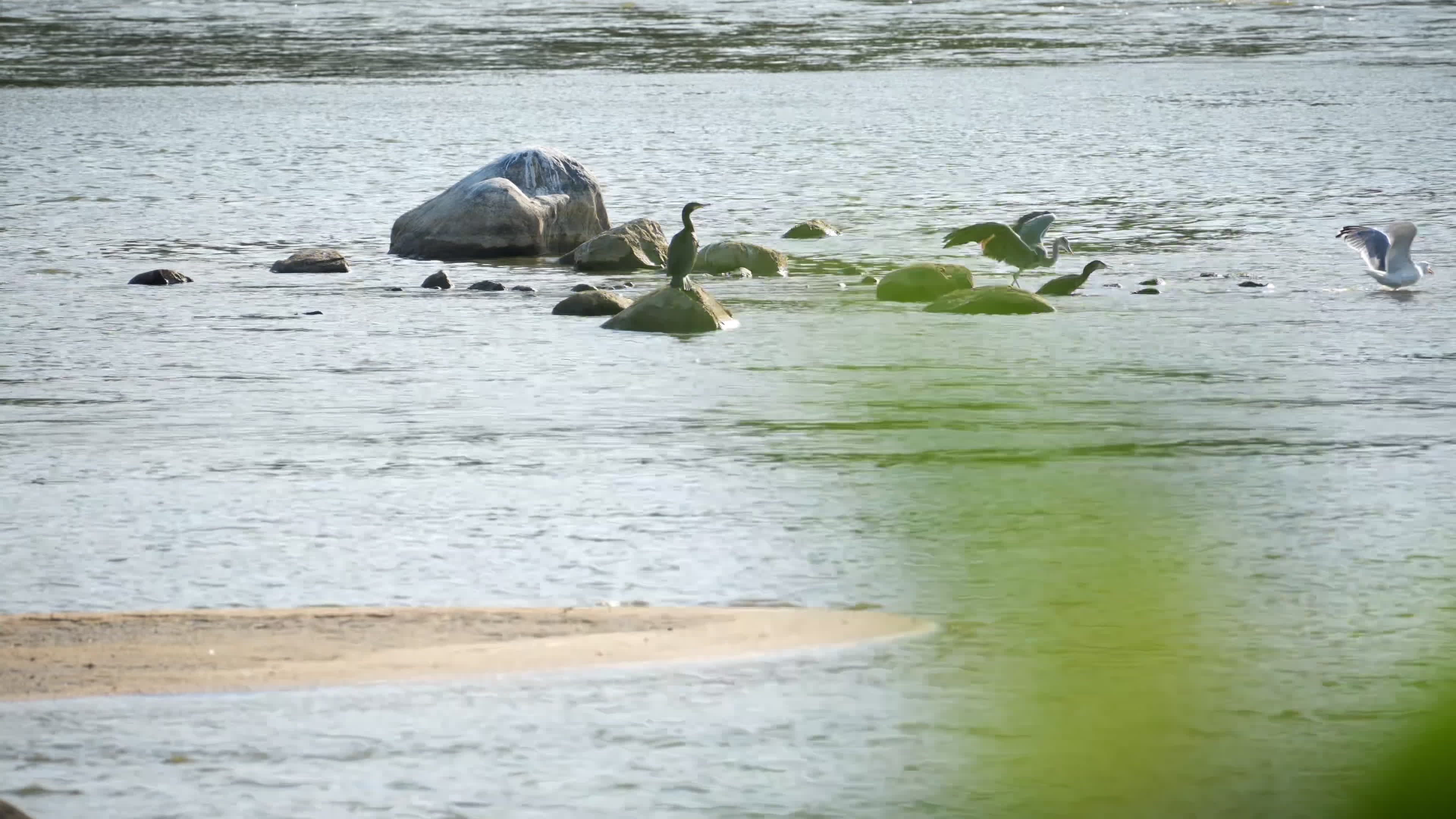Vistula river remains at critically low levels as hydrological drought continues
