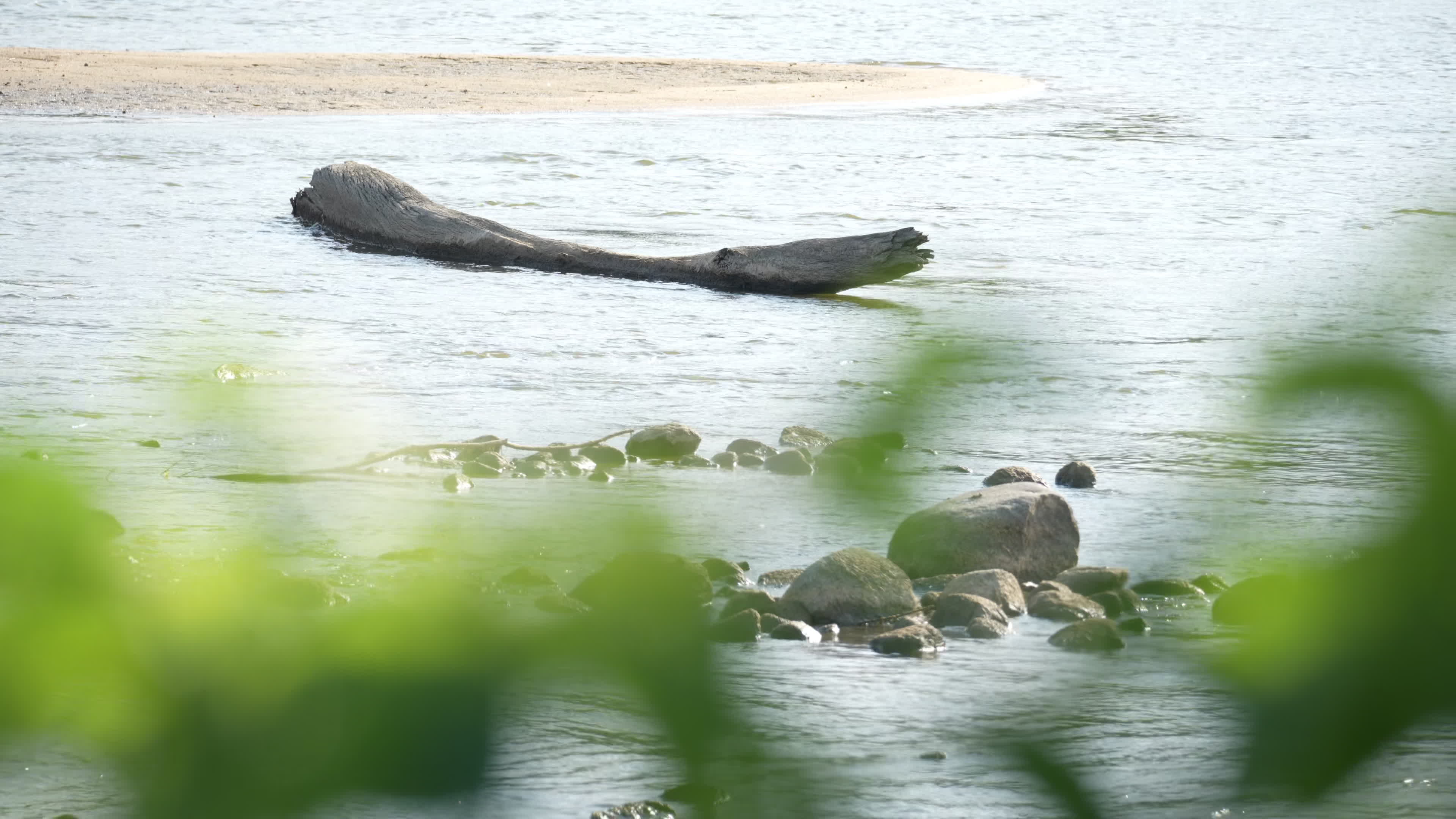Vistula river remains at critically low levels as hydrological drought continues