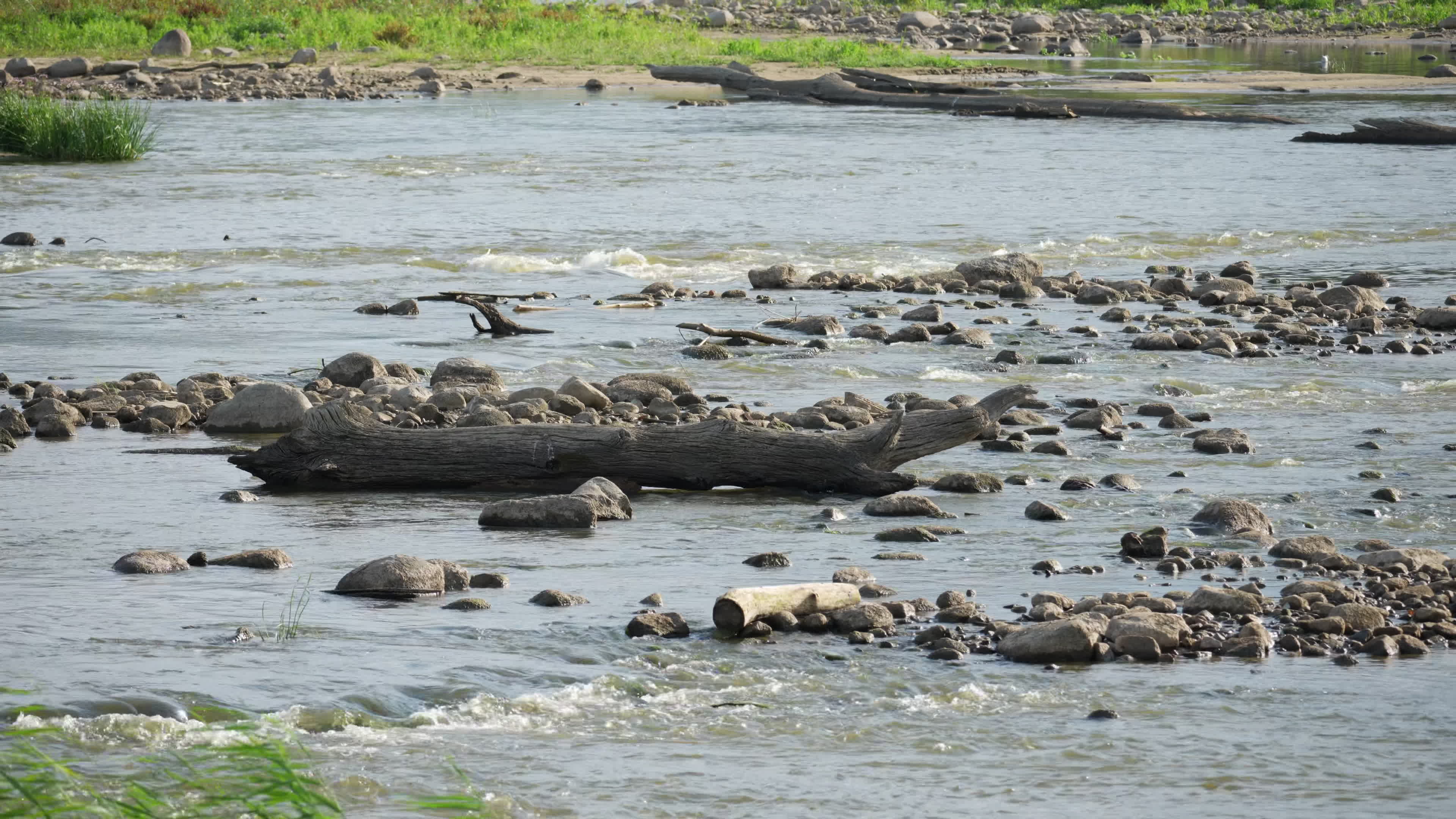 Vistula river remains at critically low levels as hydrological drought continues
