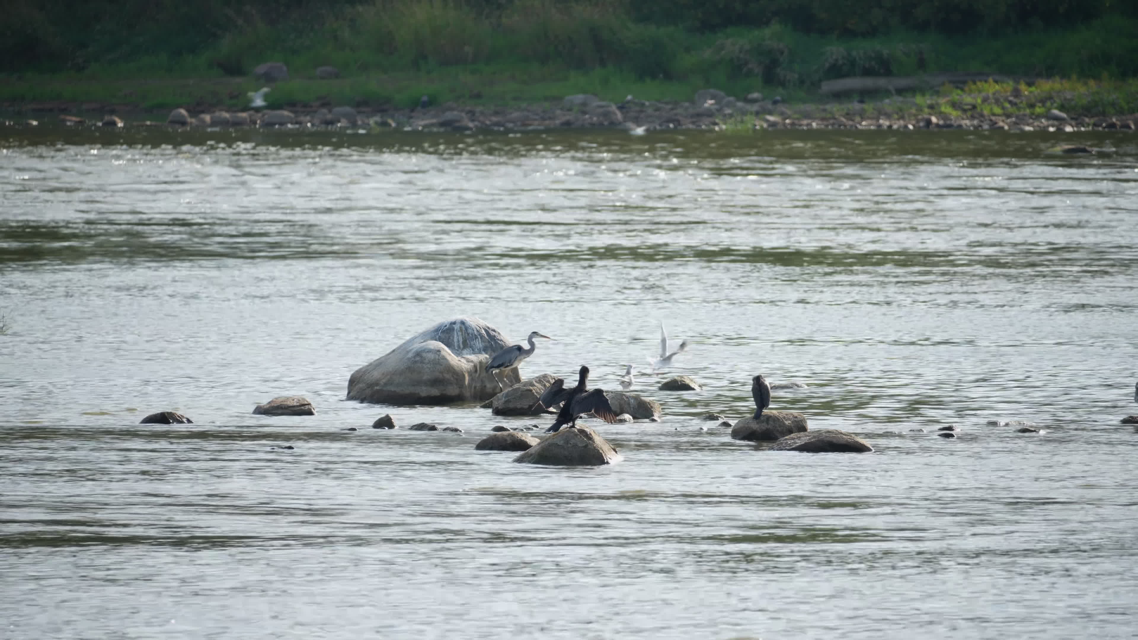 Vistula river remains at critically low levels as hydrological drought continues