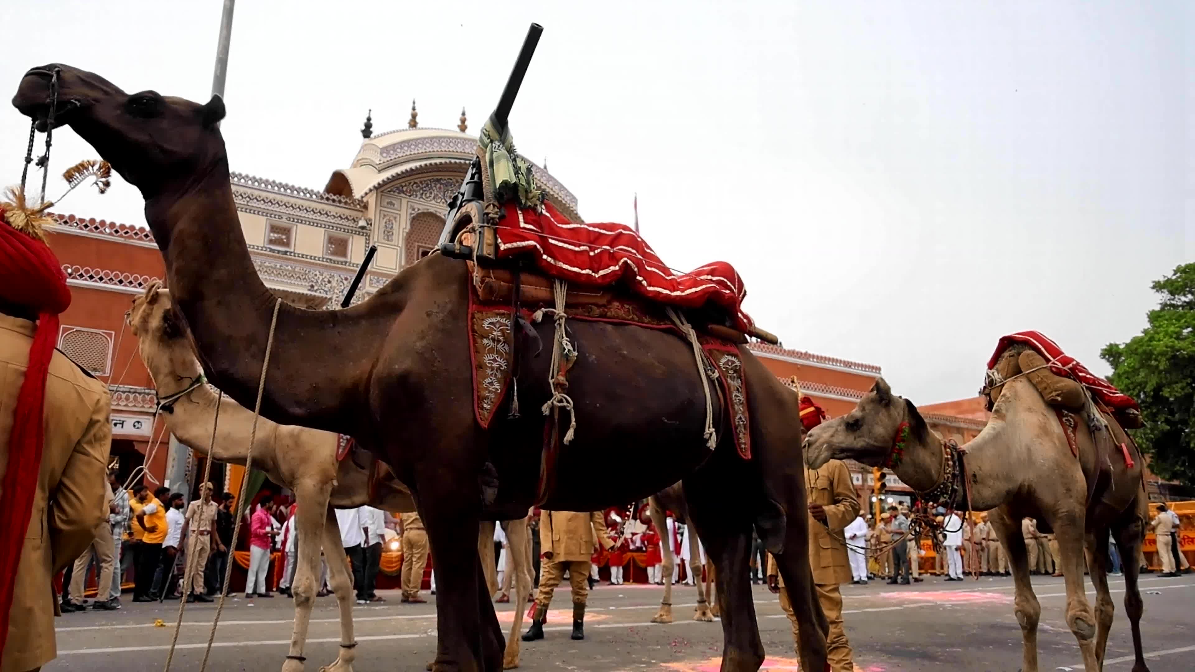 Teej Festival Procession in Jaipur