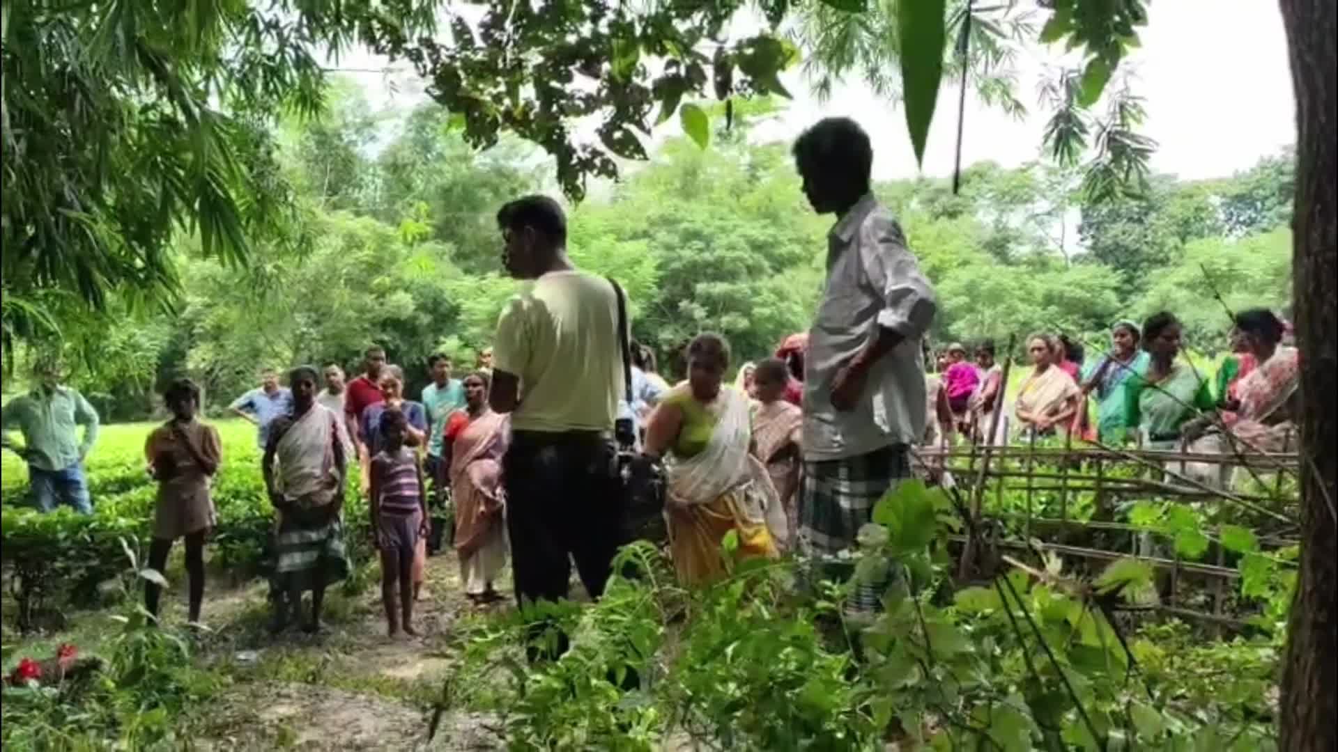 Wild Elephant found dead in India