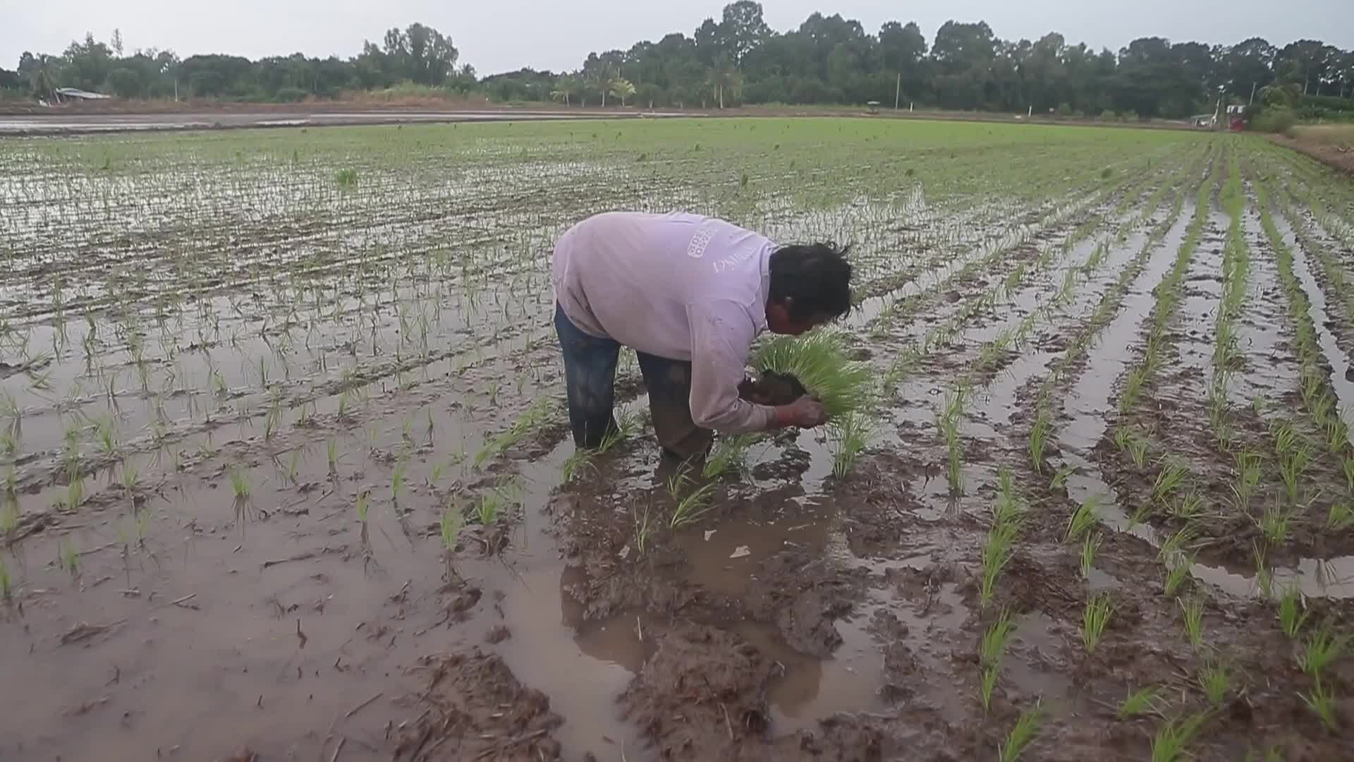 Thailand-Daily Life/