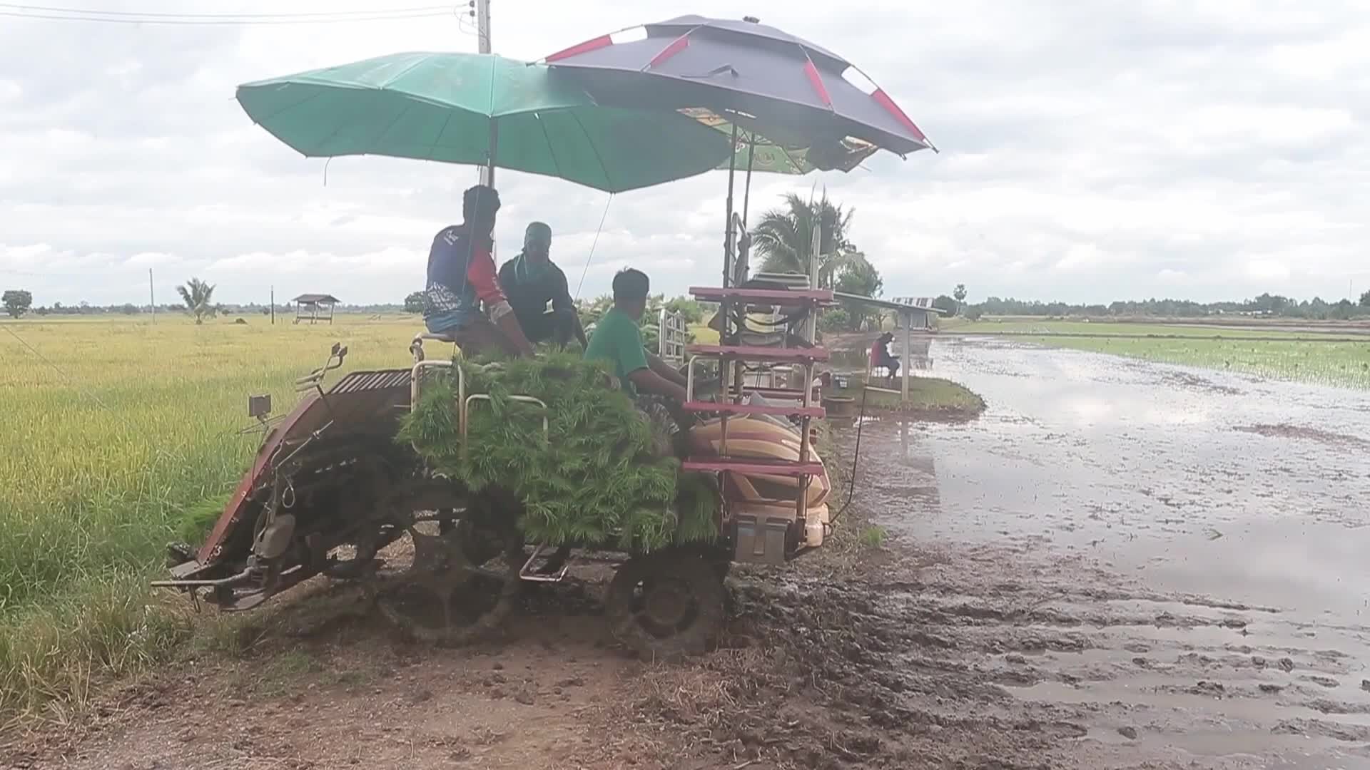 Thailand-Daily Life/