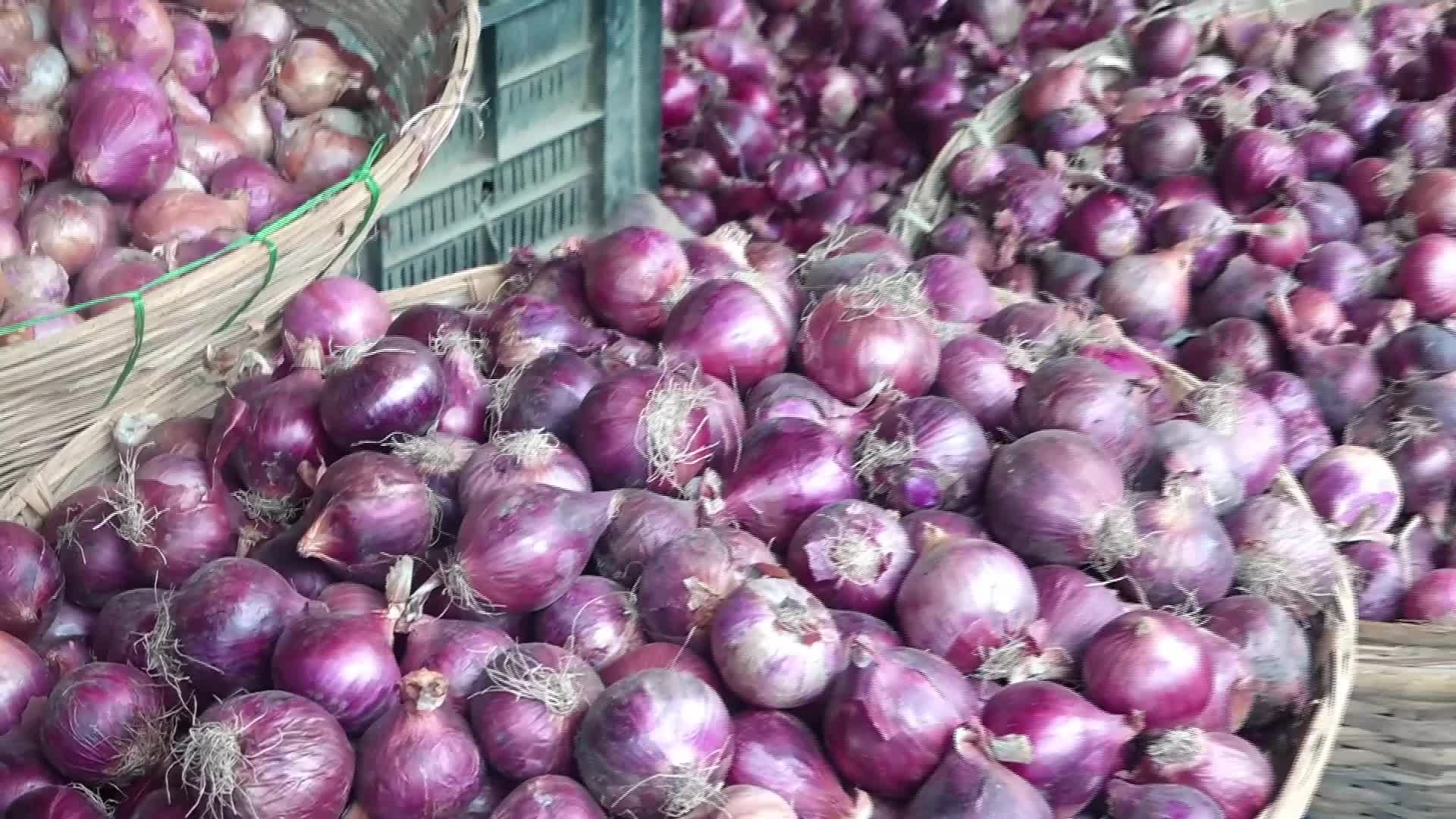 Onion Price Hike in India