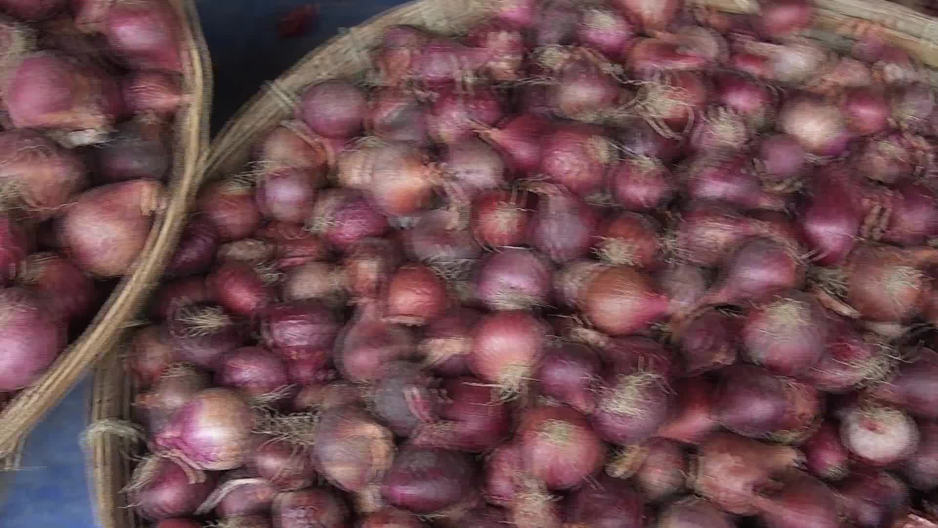 Onion Price Hike in India - 08/25/2026