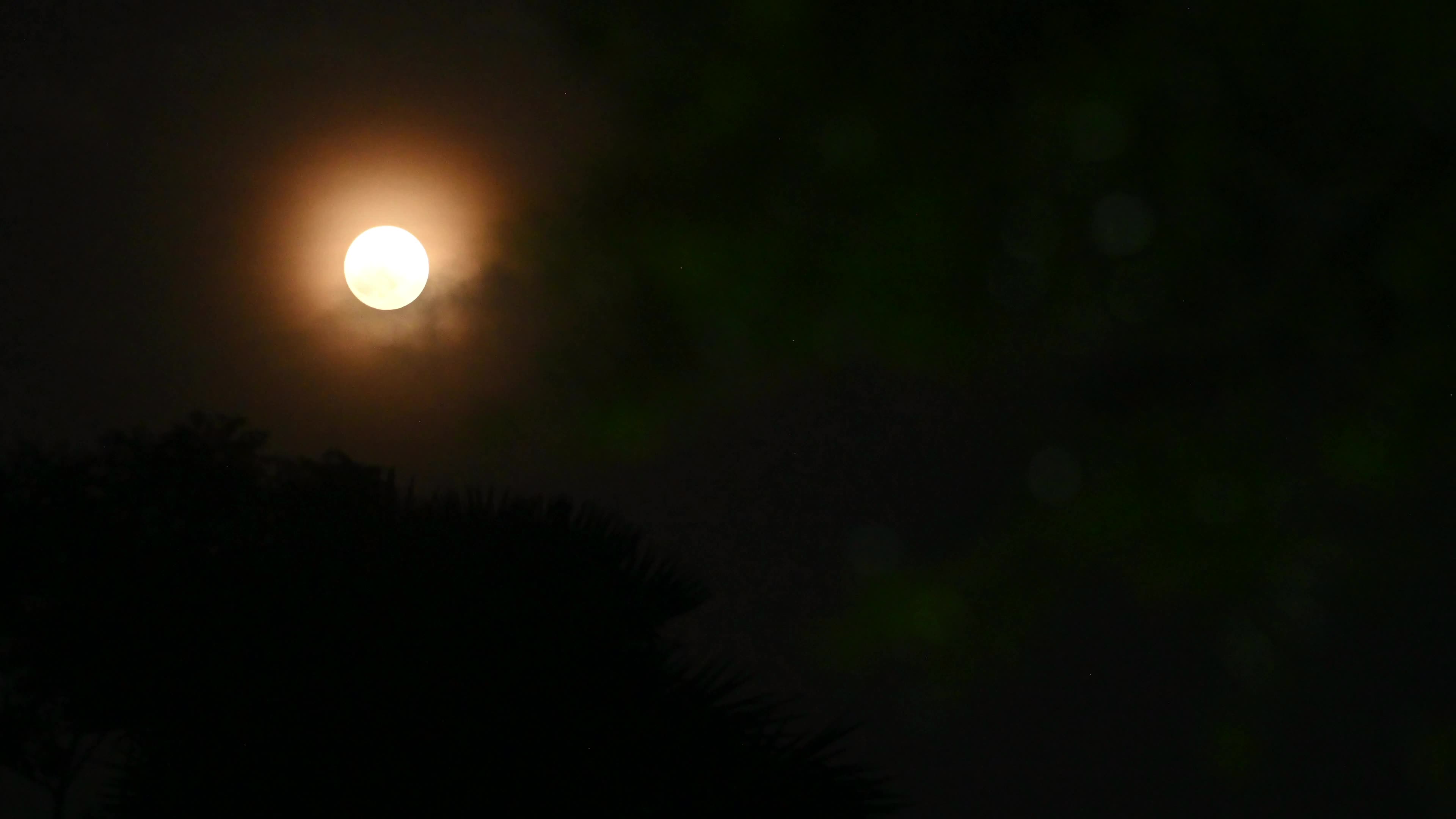 August full moon 2026 - Sturgeon Moon - Lunar Corona - Atmospheric Optics