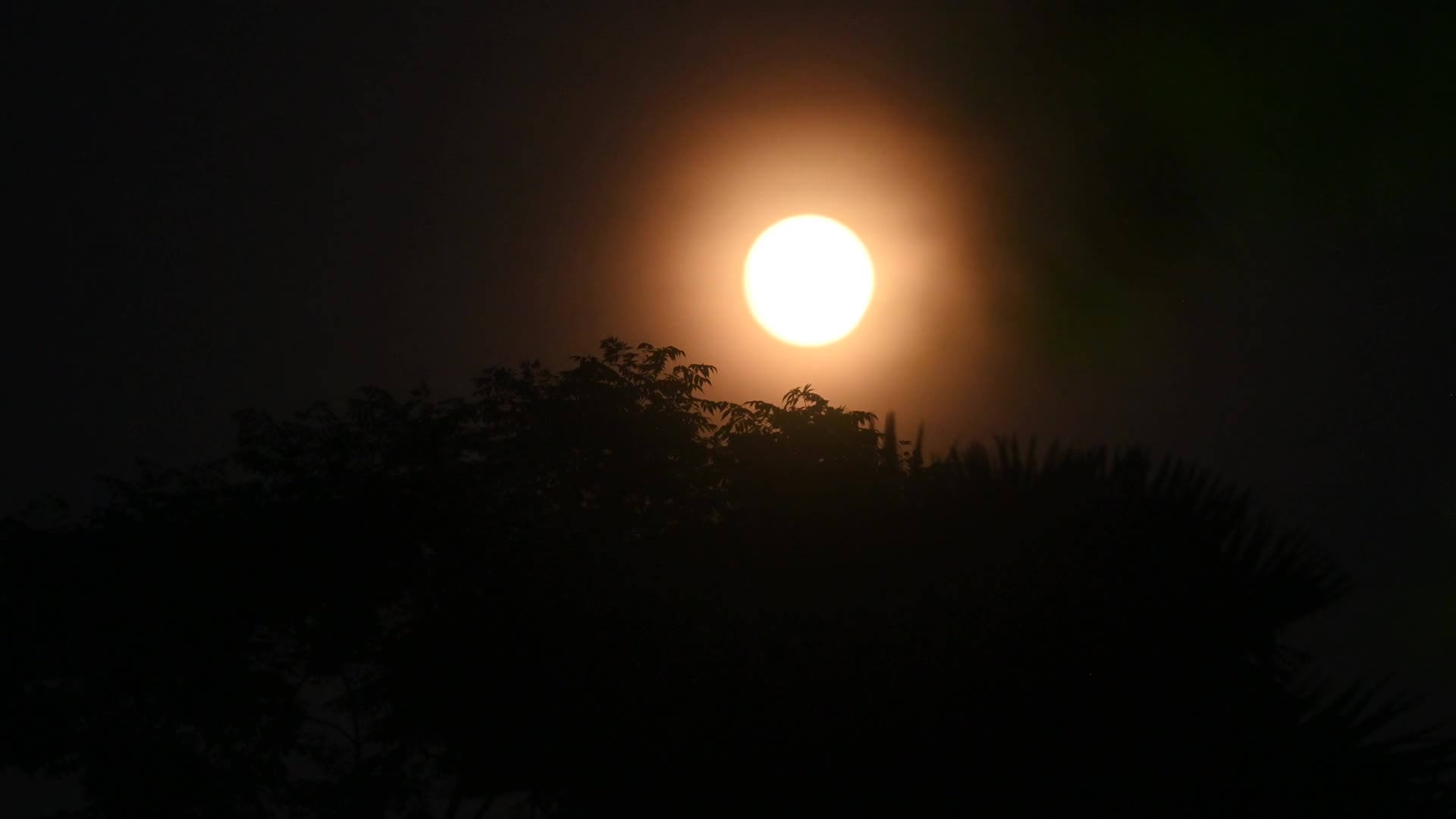 August full moon 2026 - Sturgeon Moon - Lunar Corona - Atmospheric Optics - 08/27/2026