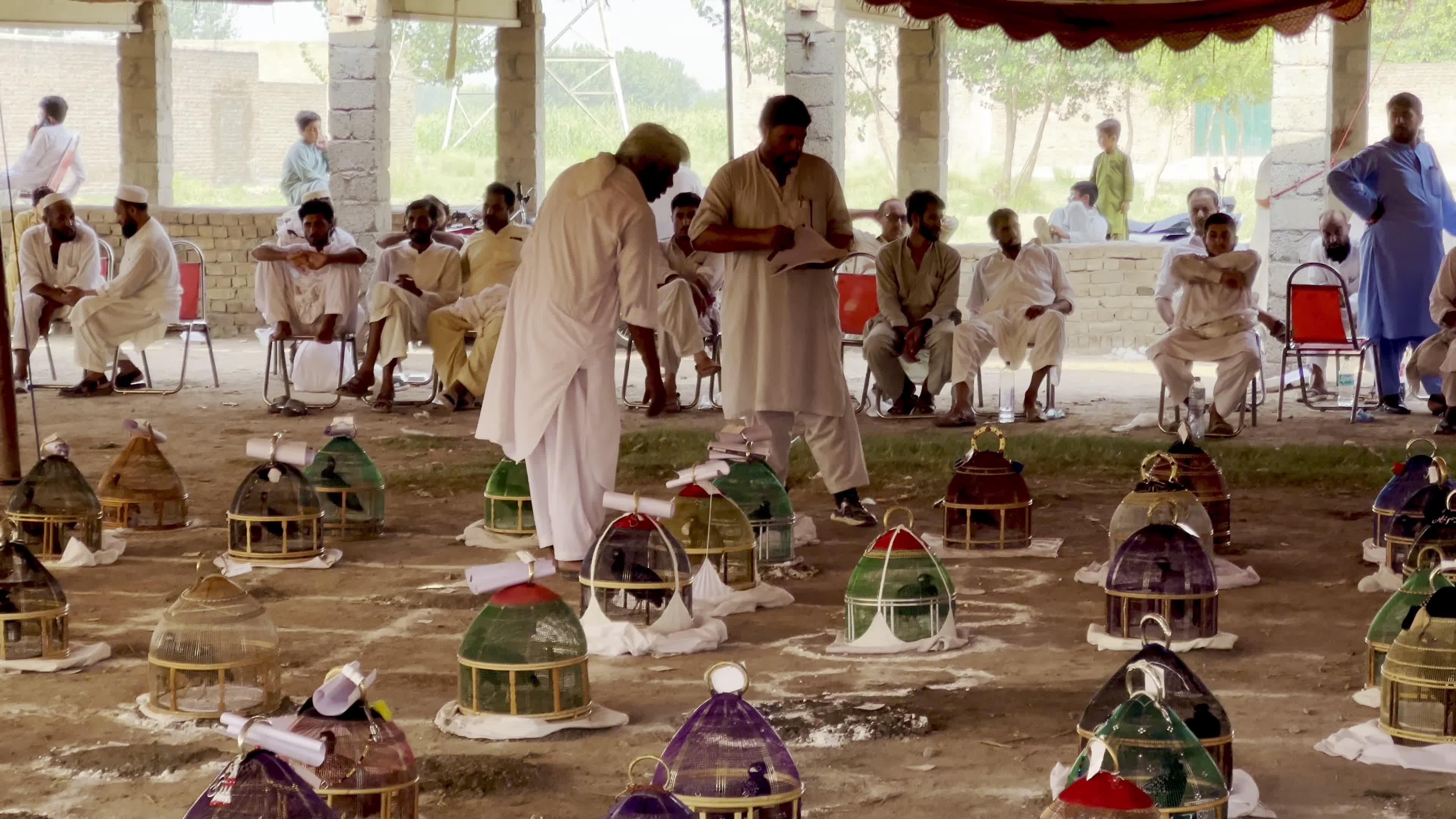 Black Partridge Singing Tournament Draws Bird Owners and Spectators in Peshawar