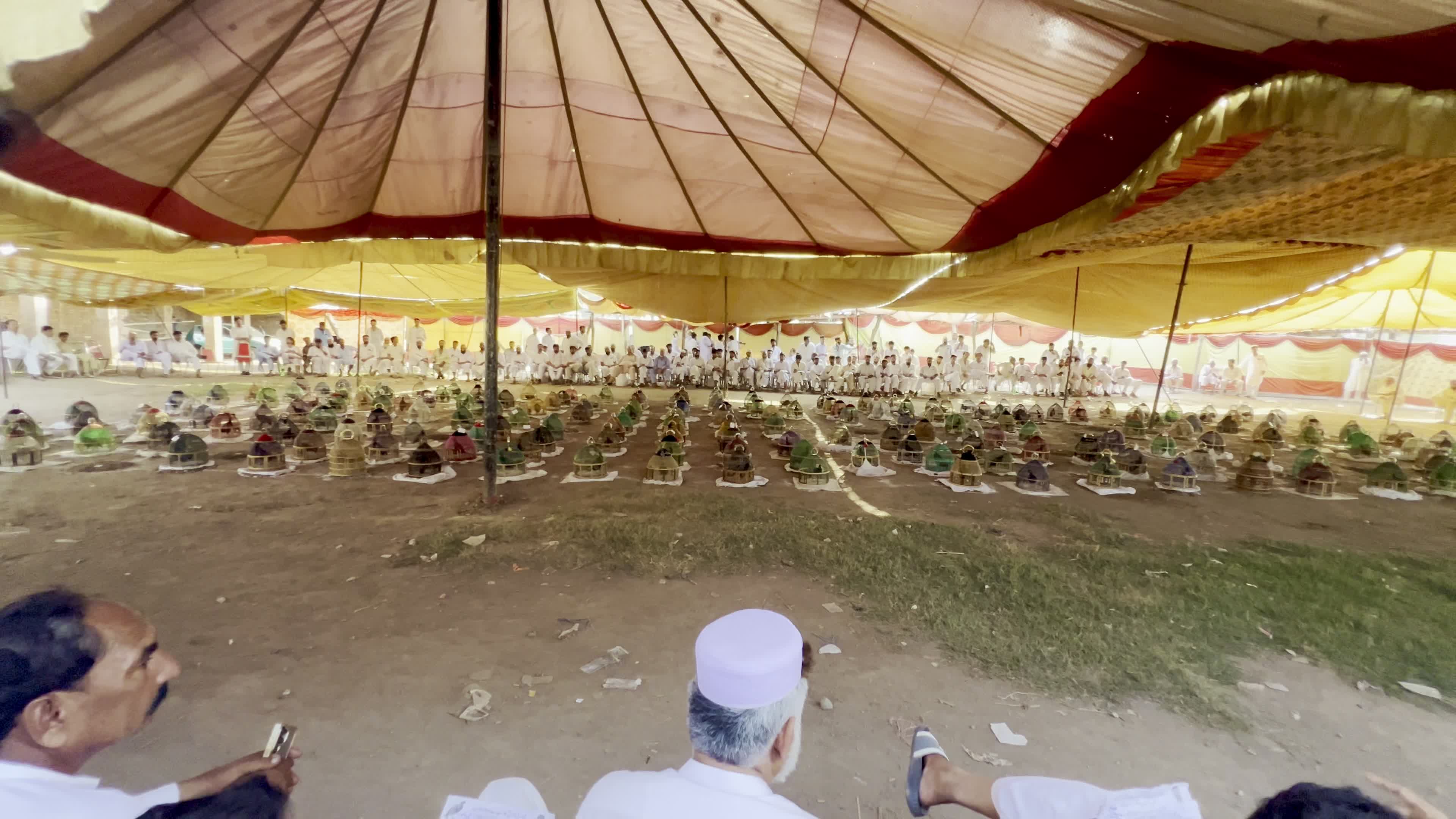 Black Partridge Singing Tournament Draws Bird Owners and Spectators in Peshawar