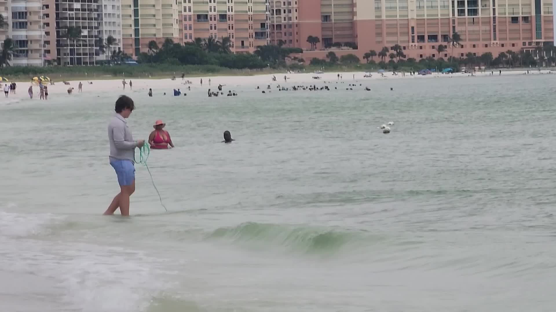 Net fishing in Marco Island, Florida, USA
