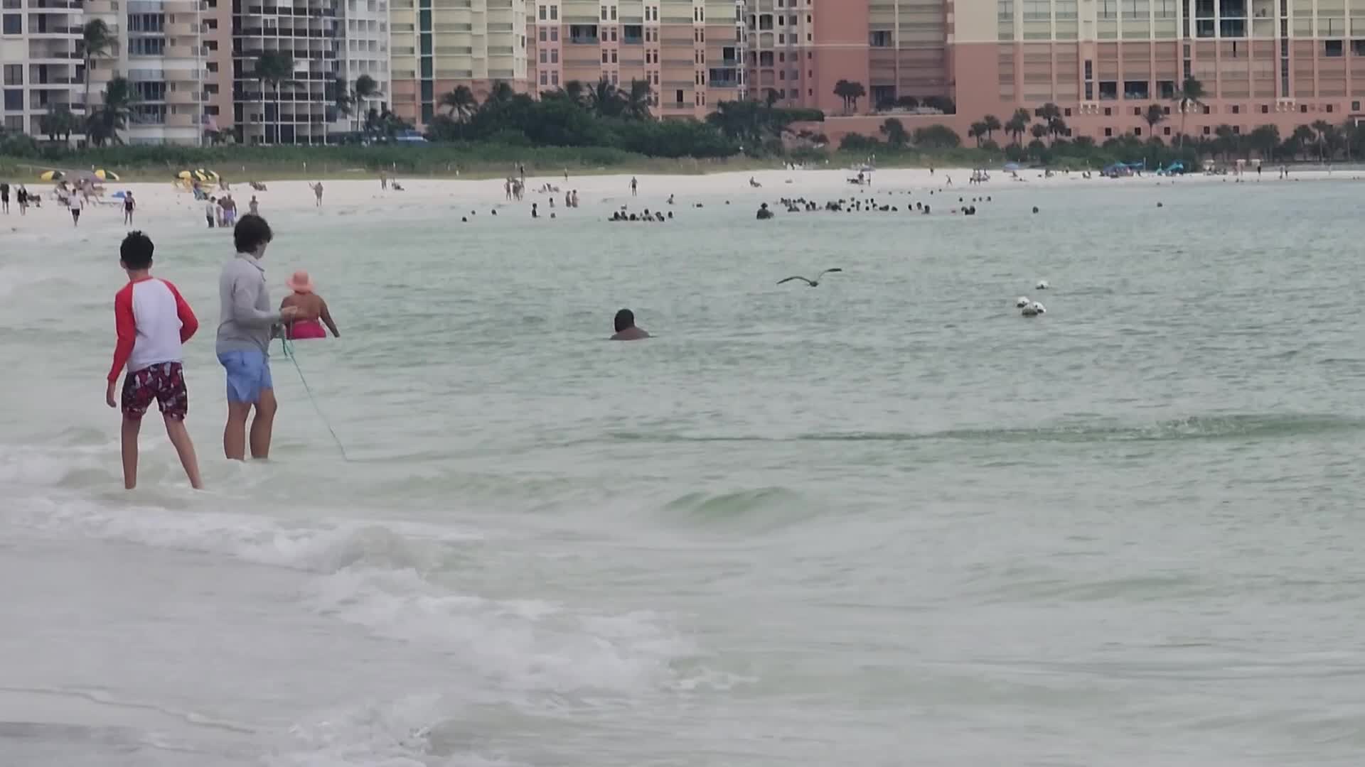 Net fishing in Marco Island, Florida, USA