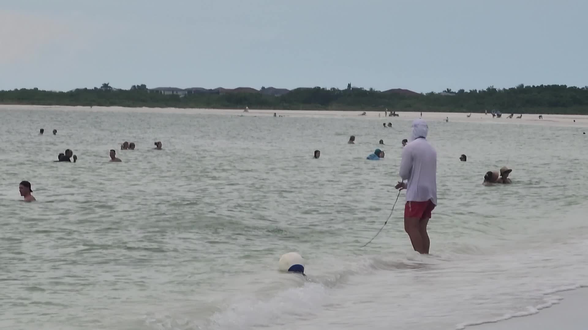 Net fishing in Marco Island, Florida, USA