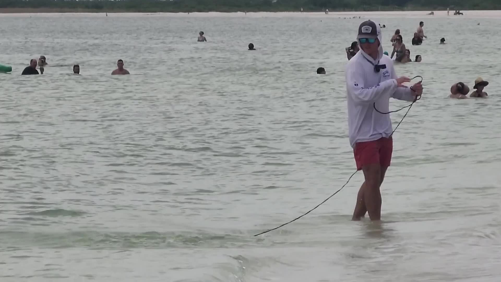 Net fishing in Marco Island, Florida, USA