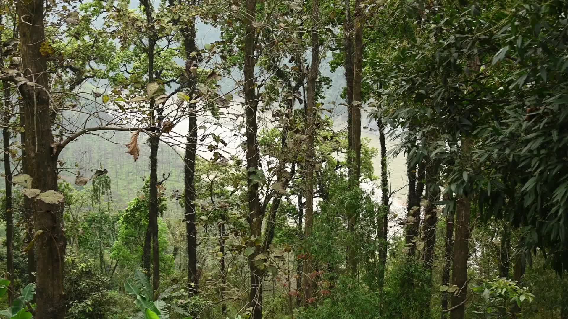 Road Repair beside Teesta River - Siliguri Corridor