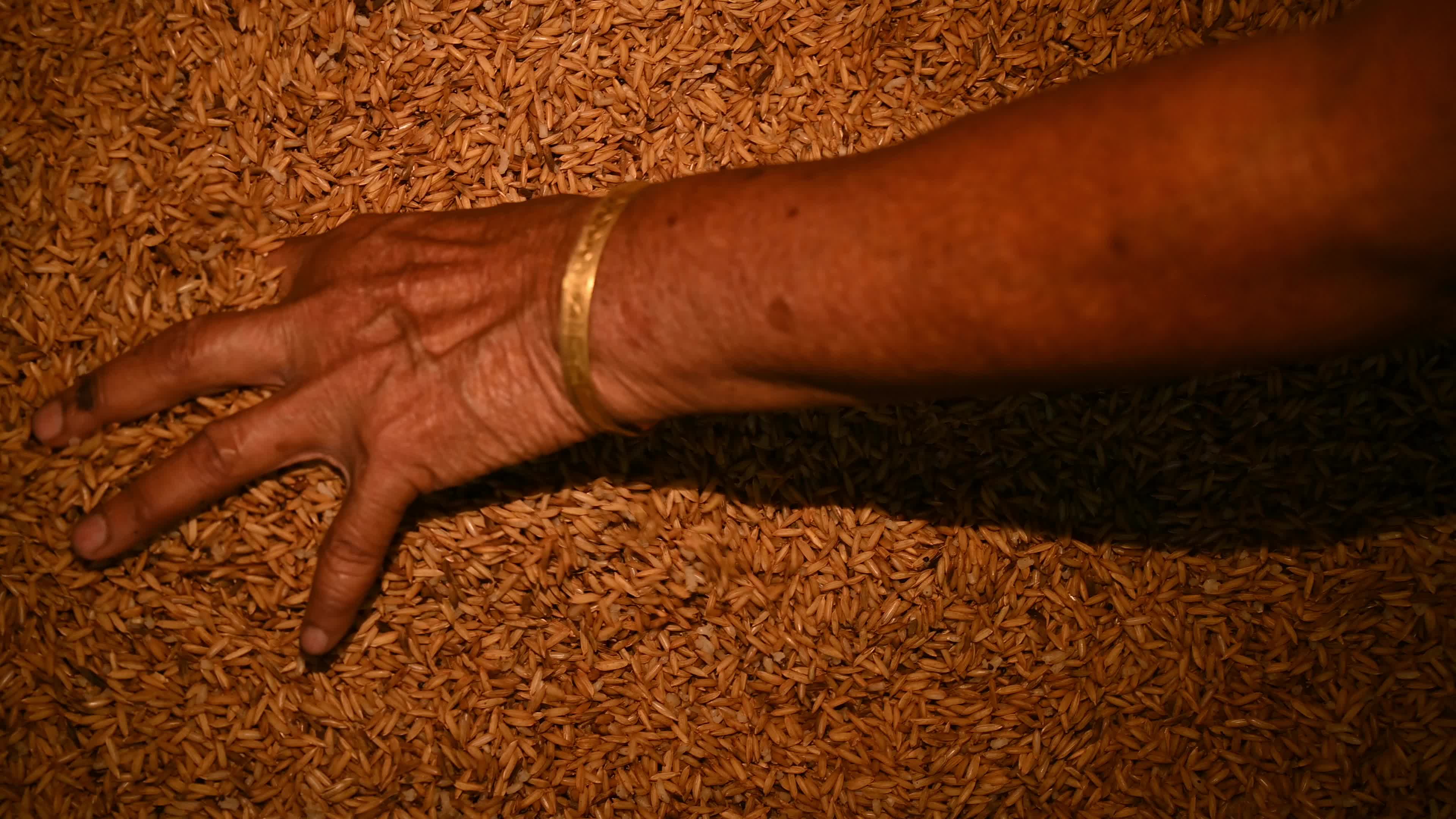 Parboiled rice production in India