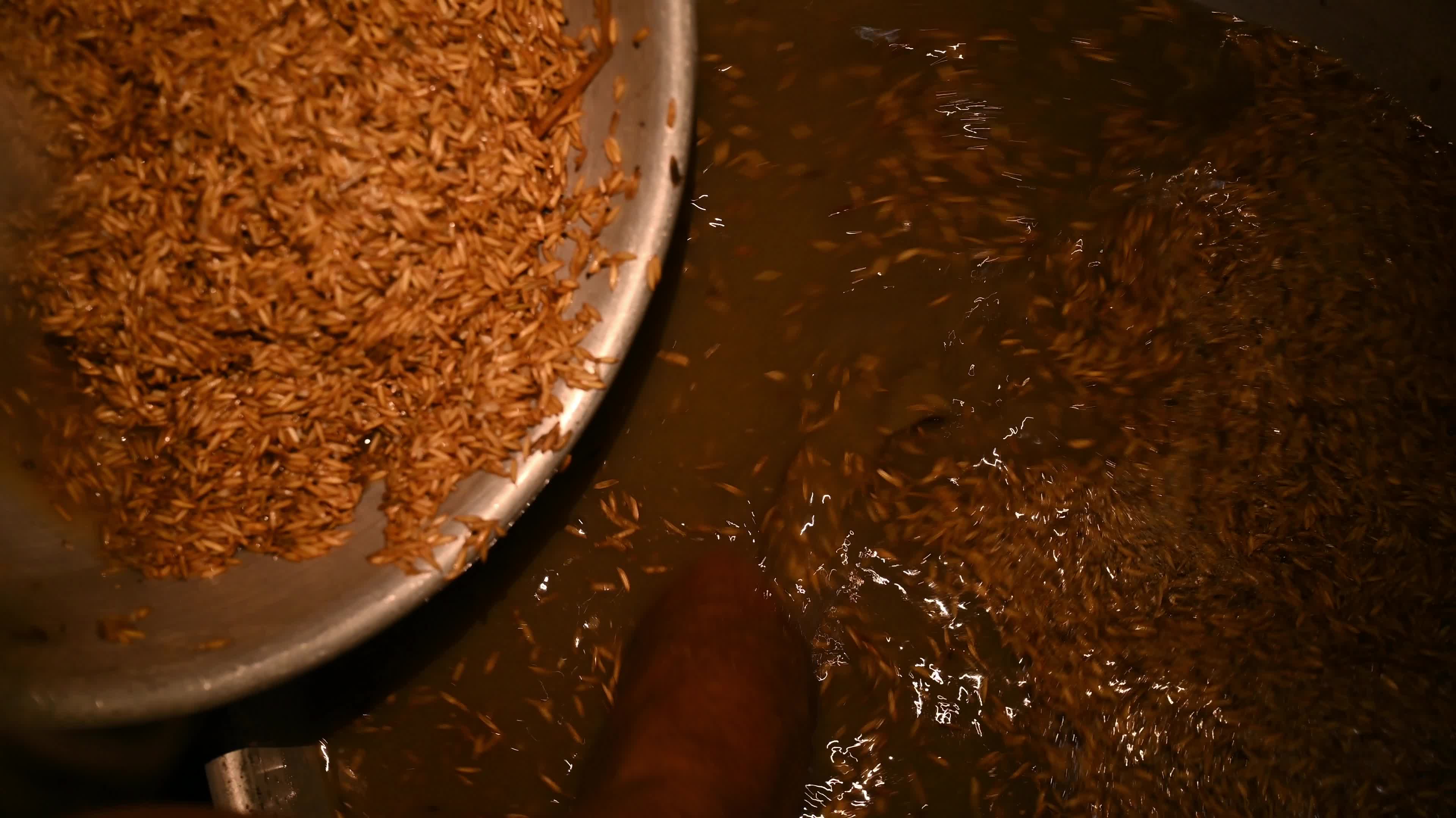 Parboiled rice production in India -  Soaking, steaming, and drying