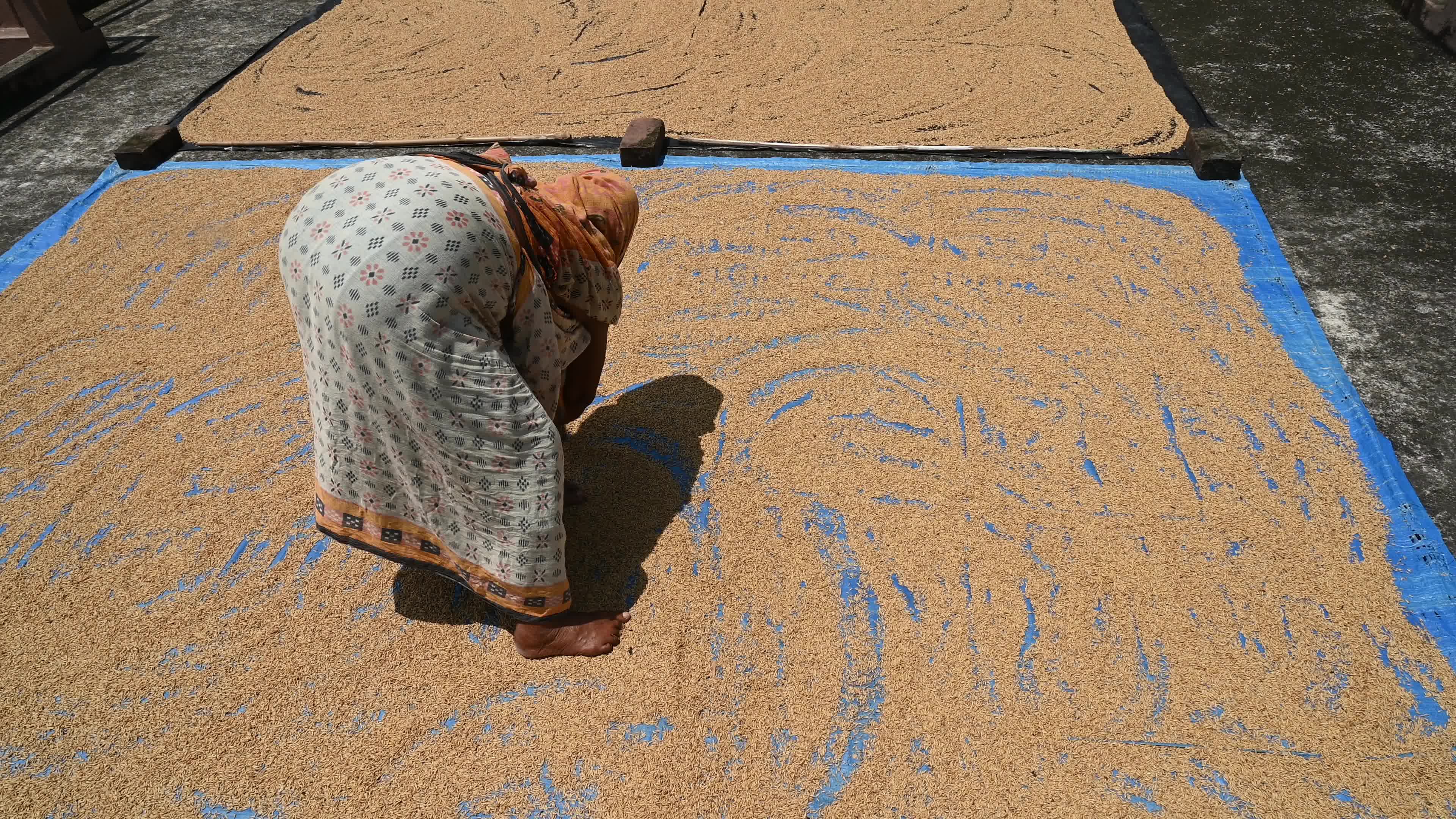 Parboiled rice production in India -  Soaking, steaming, and drying