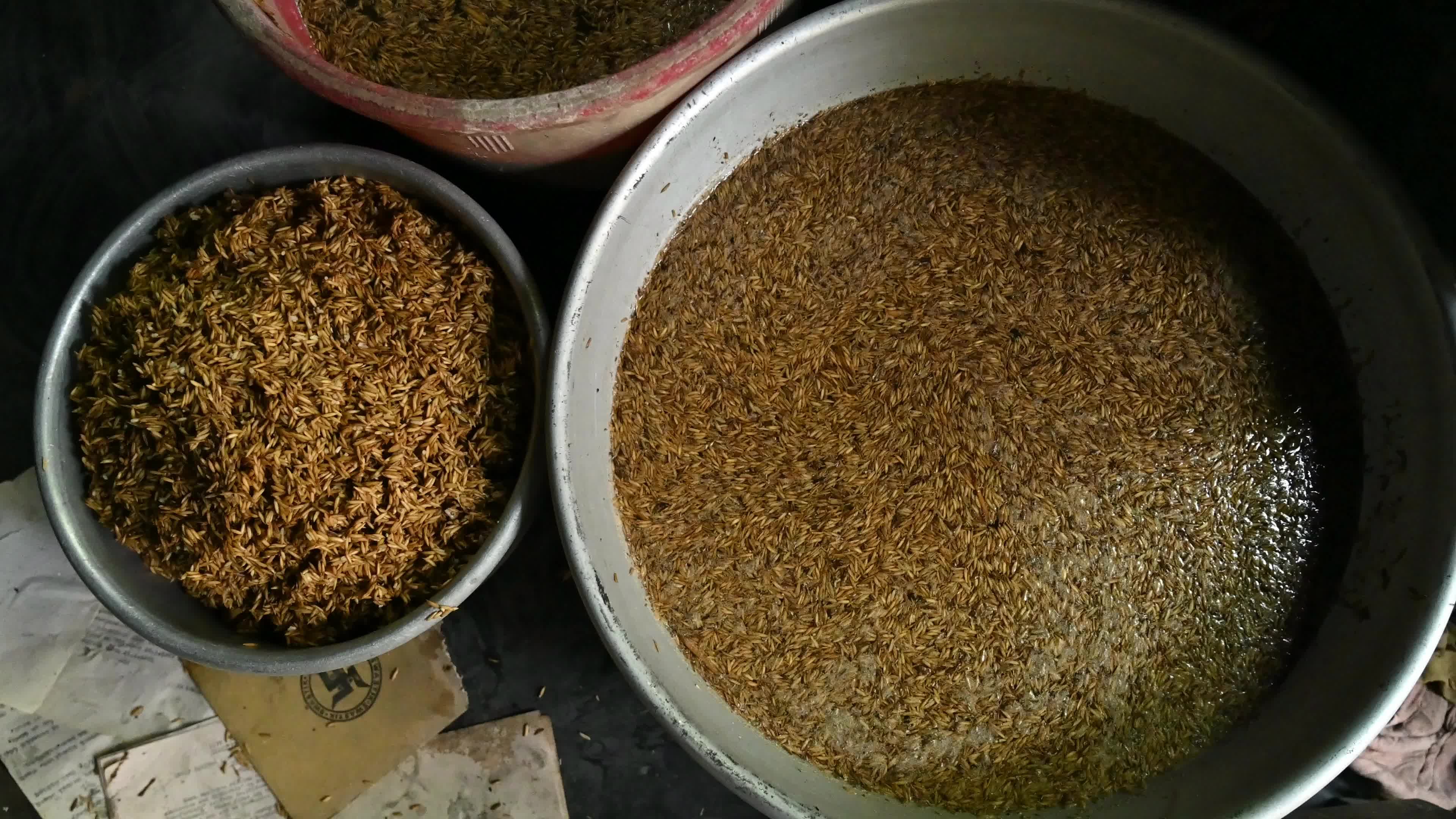 Parboiled rice production in India -  Soaking, steaming, and drying