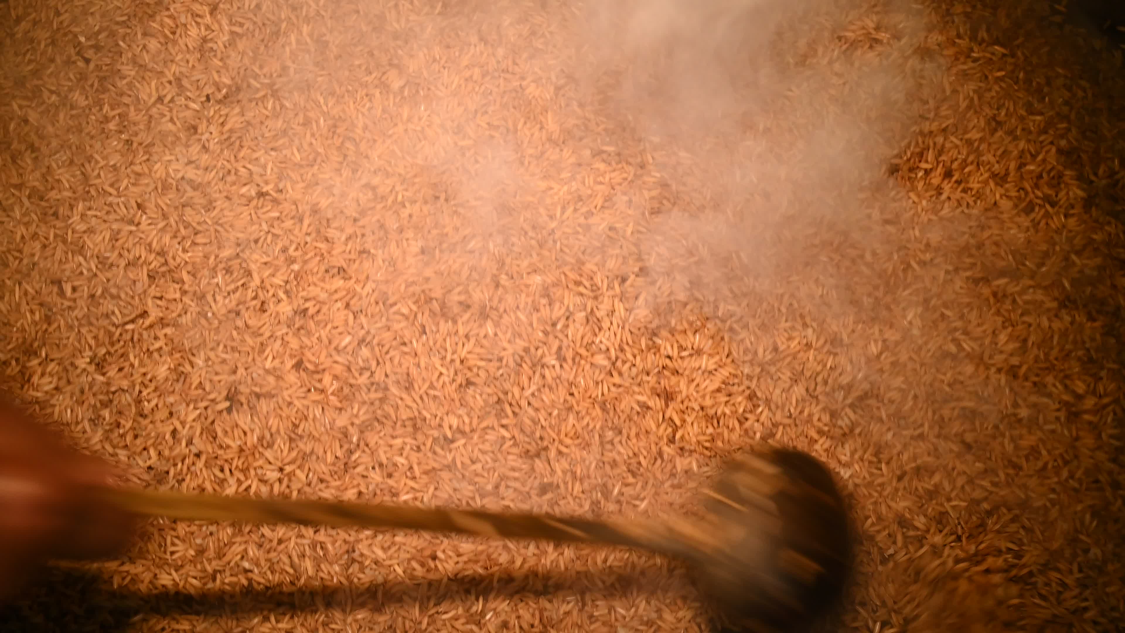 Parboiled rice production in India -  Soaking, steaming, and drying