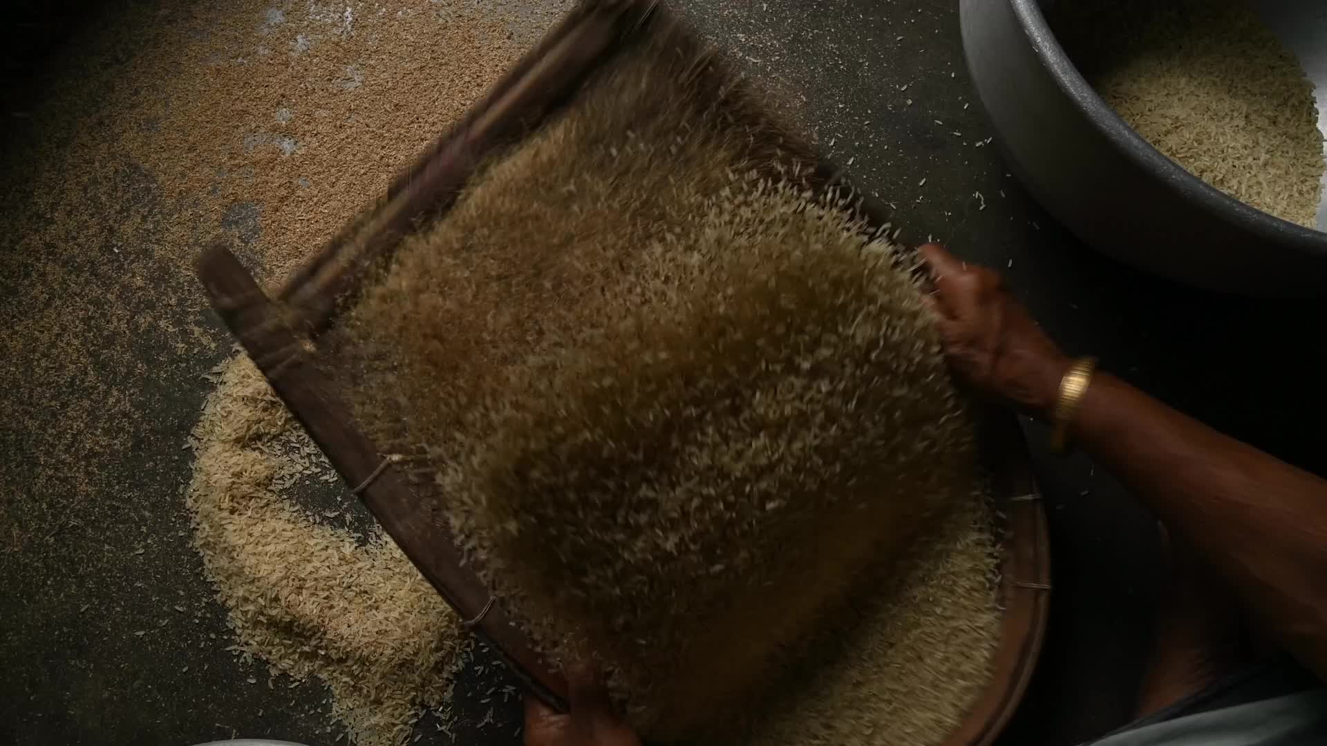 Rice winnowing - Traditional rice processing - Parboiled rice production in India
