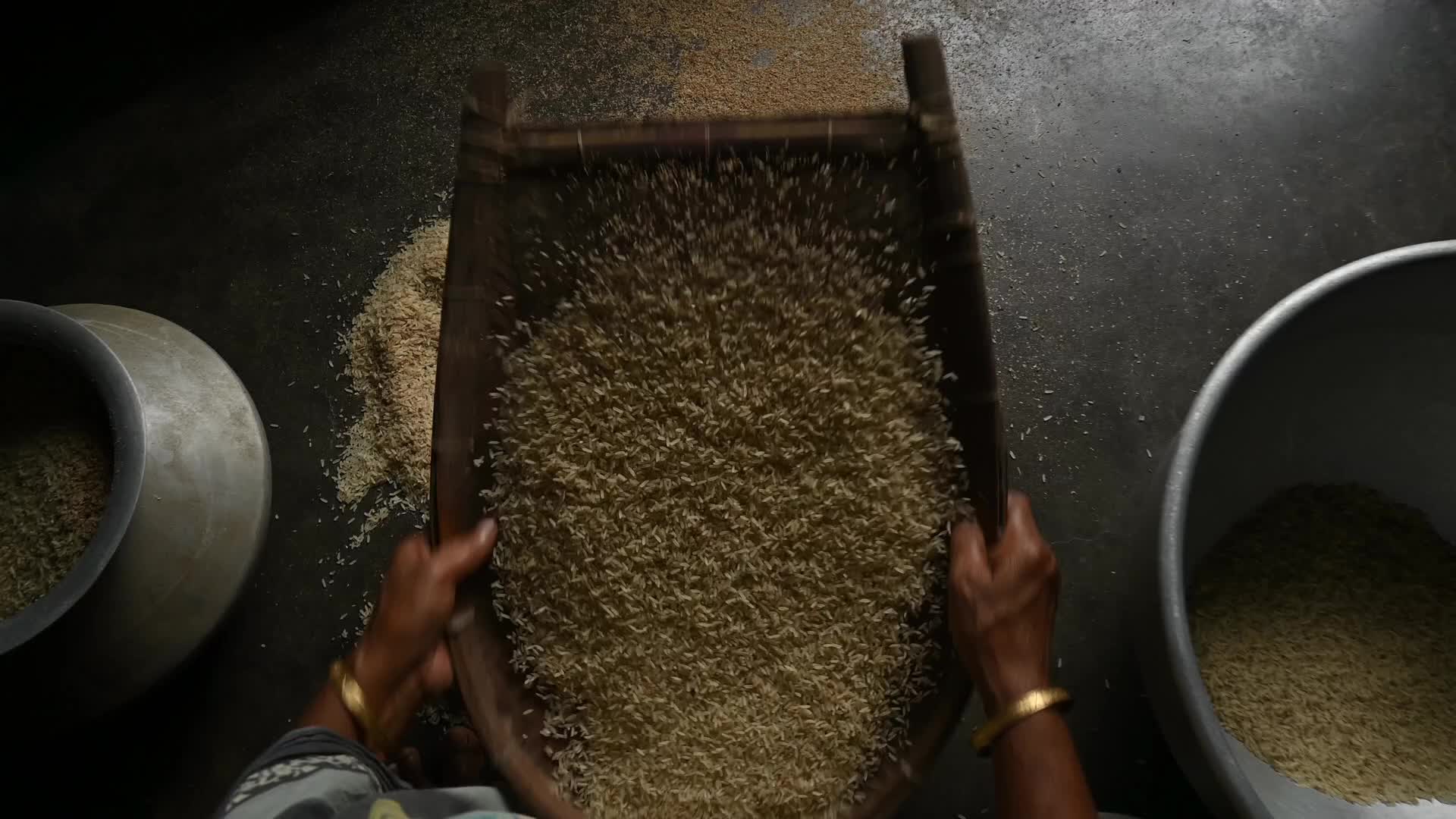 Rice winnowing - Traditional rice processing - Parboiled rice production in India