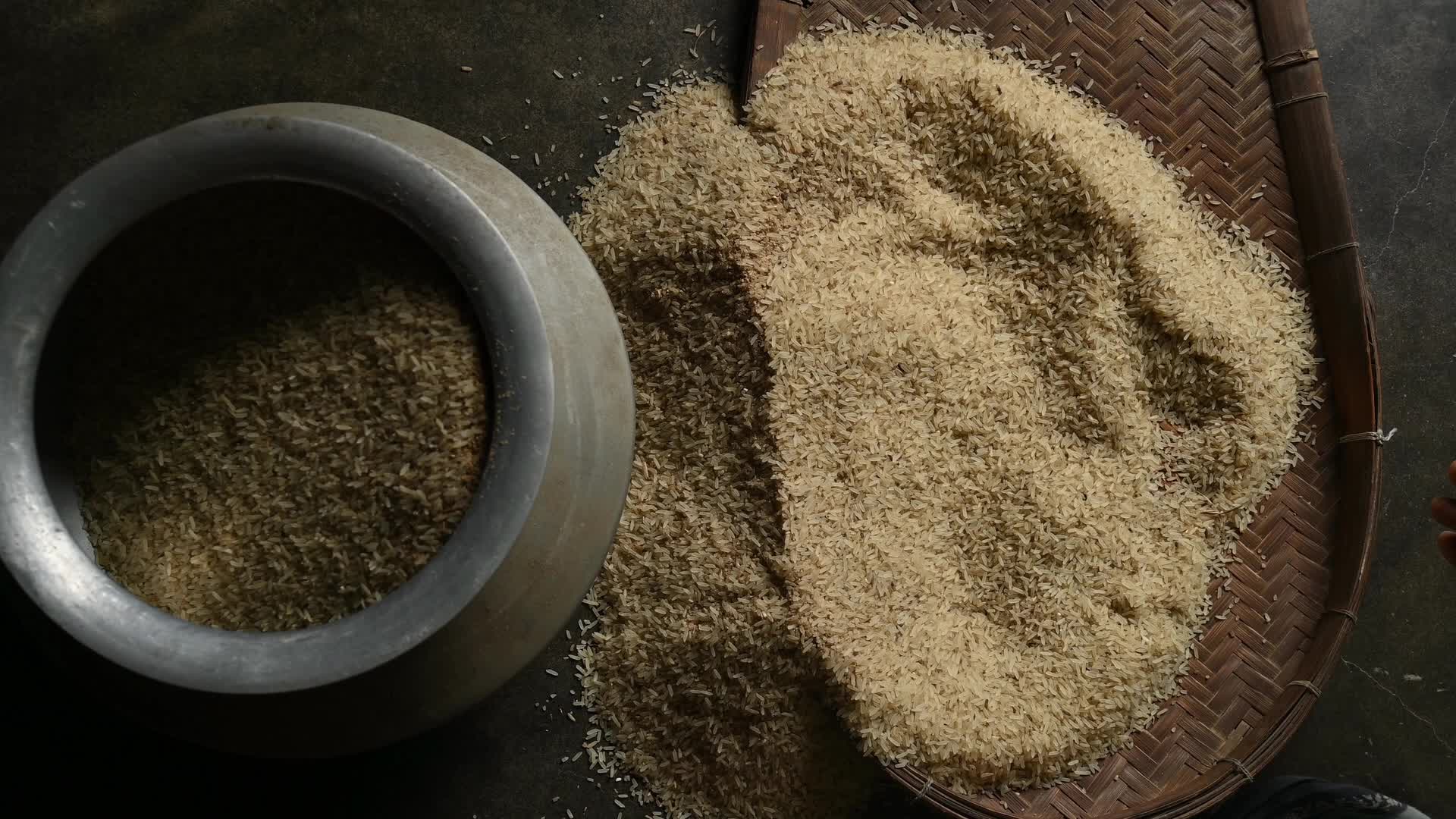 Rice winnowing - Traditional rice processing - Parboiled rice production in India