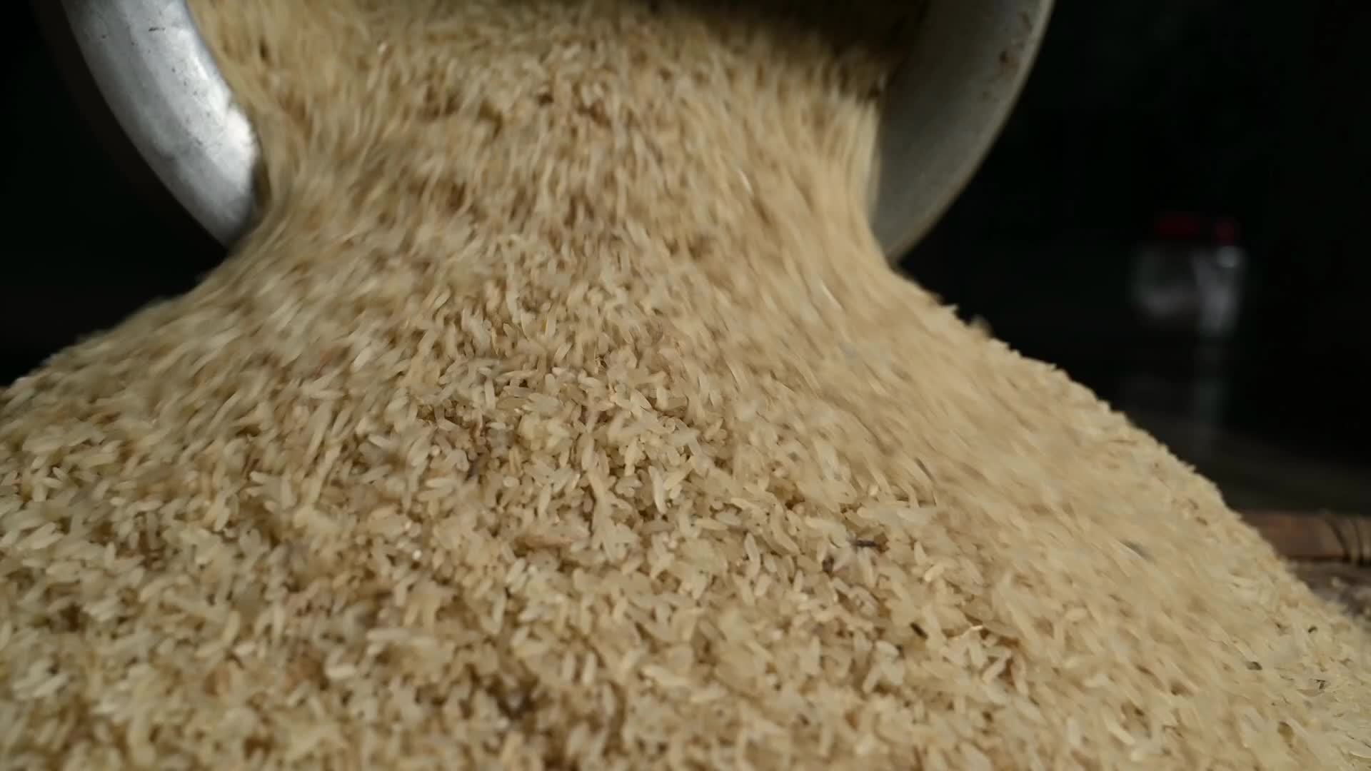Rice winnowing - Traditional rice processing - Parboiled rice production in India