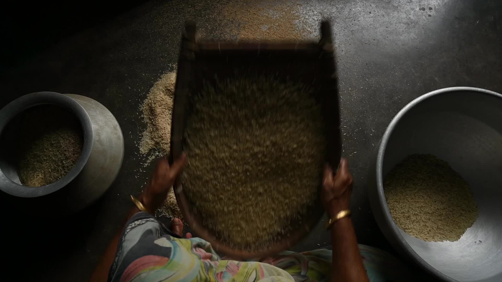 Rice winnowing - Traditional rice processing - Parboiled rice production in India