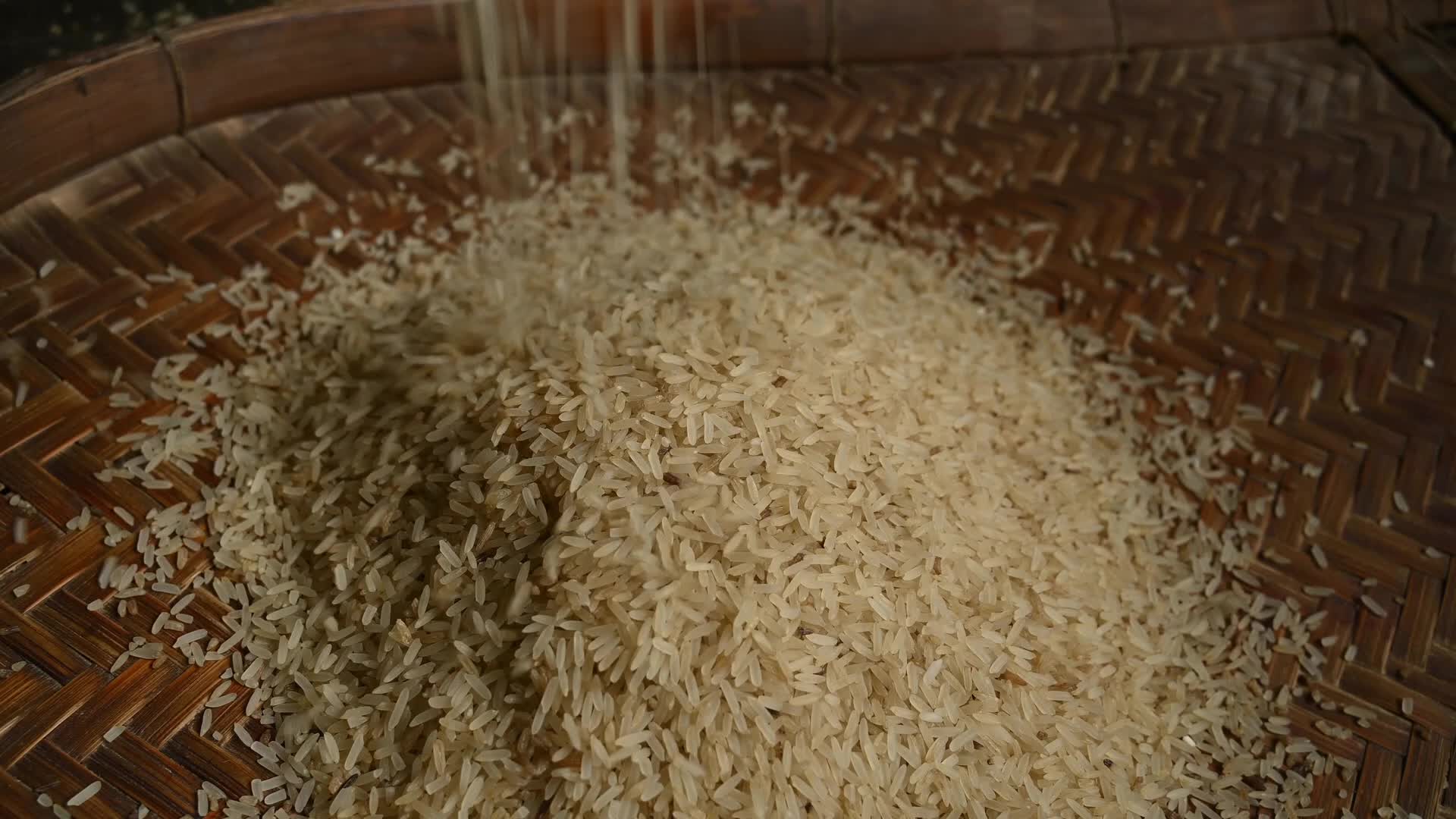 Rice winnowing - Traditional rice processing - Parboiled rice production in India