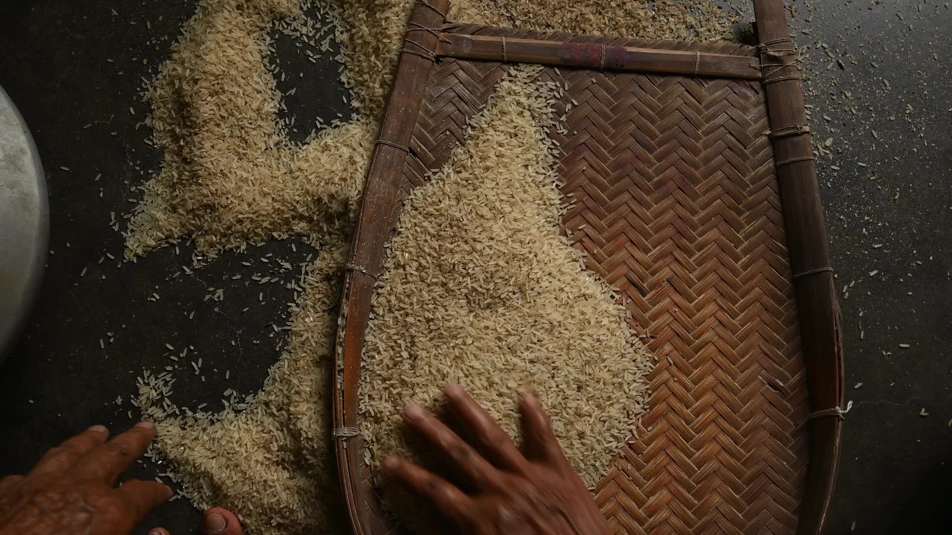 Rice winnowing - Traditional rice processing - Parboiled rice production in India