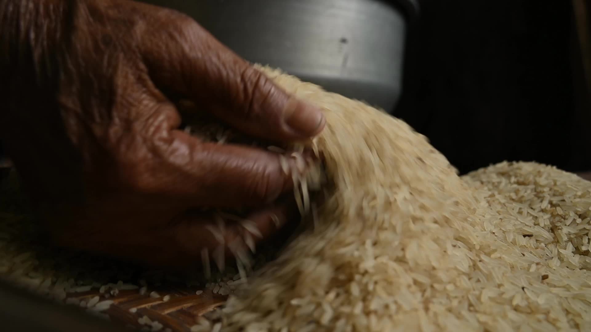 Rice winnowing - Traditional rice processing - Parboiled rice production in India