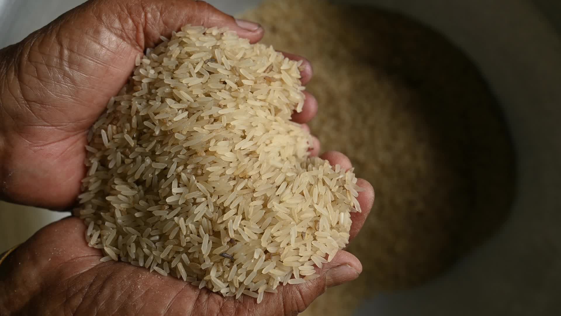 Rice winnowing - Traditional rice processing - Parboiled rice production in India