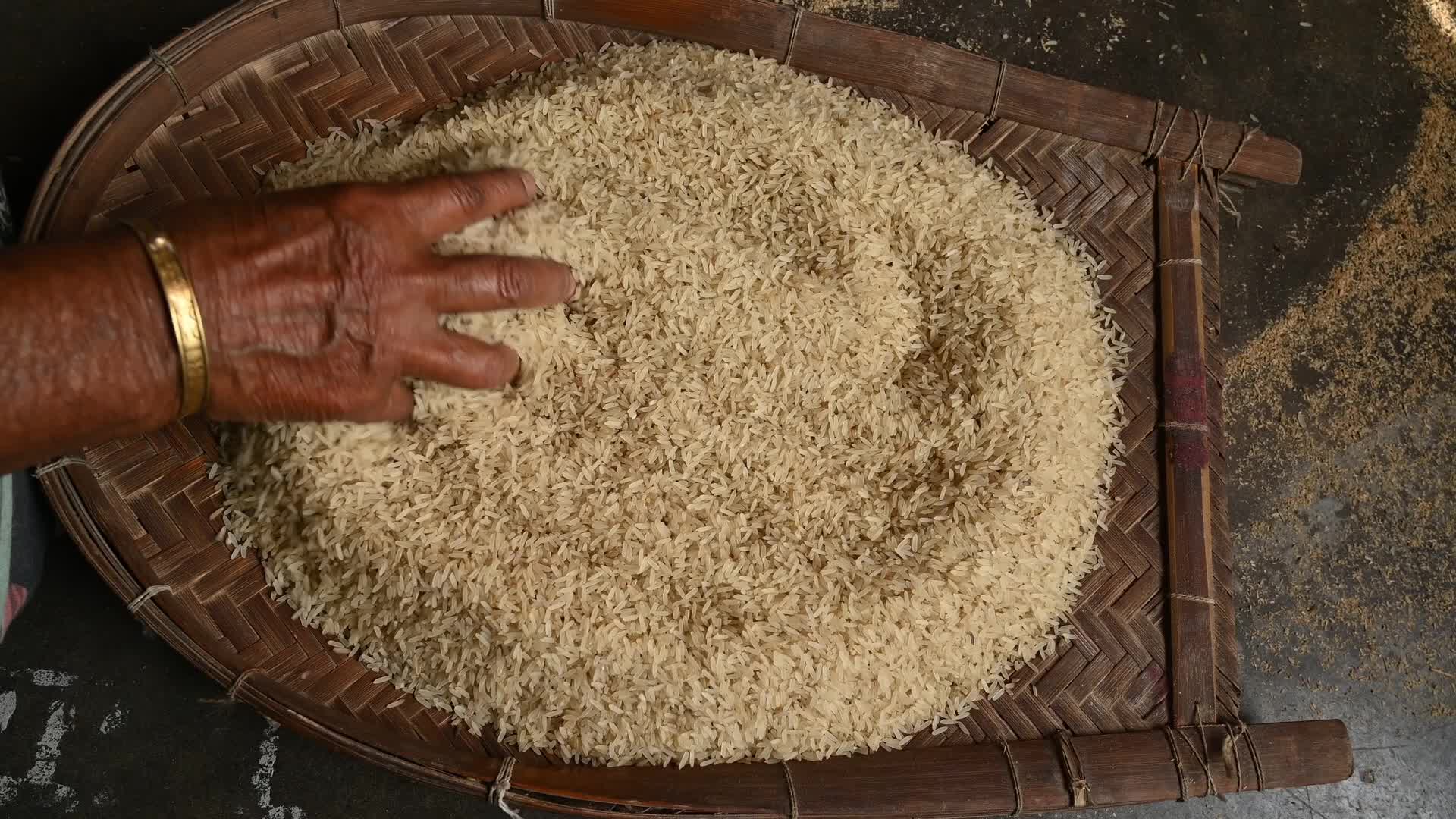Rice winnowing - Traditional rice processing - Parboiled rice production in India