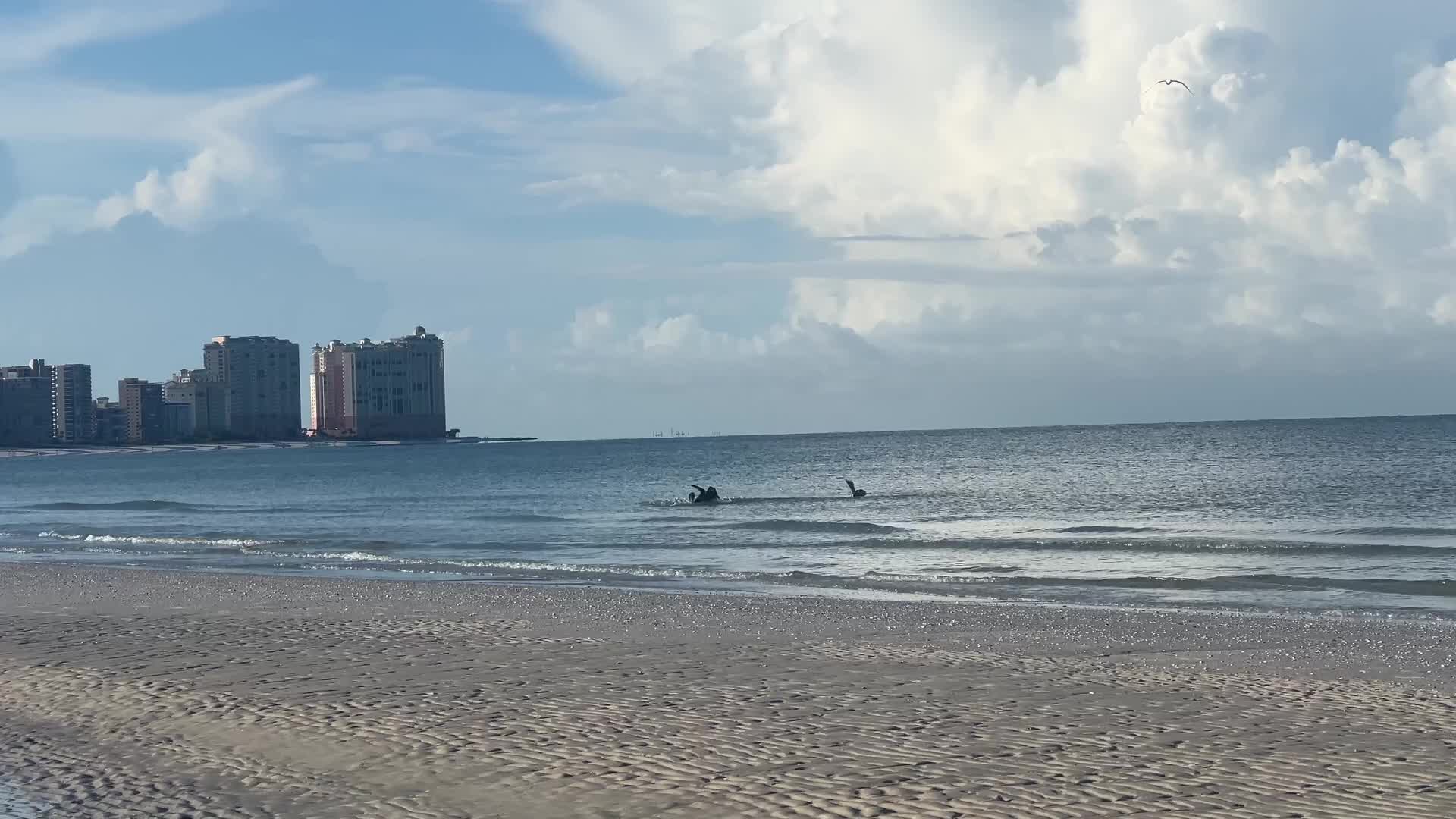 Daily life in Marco Island, Florida, USA