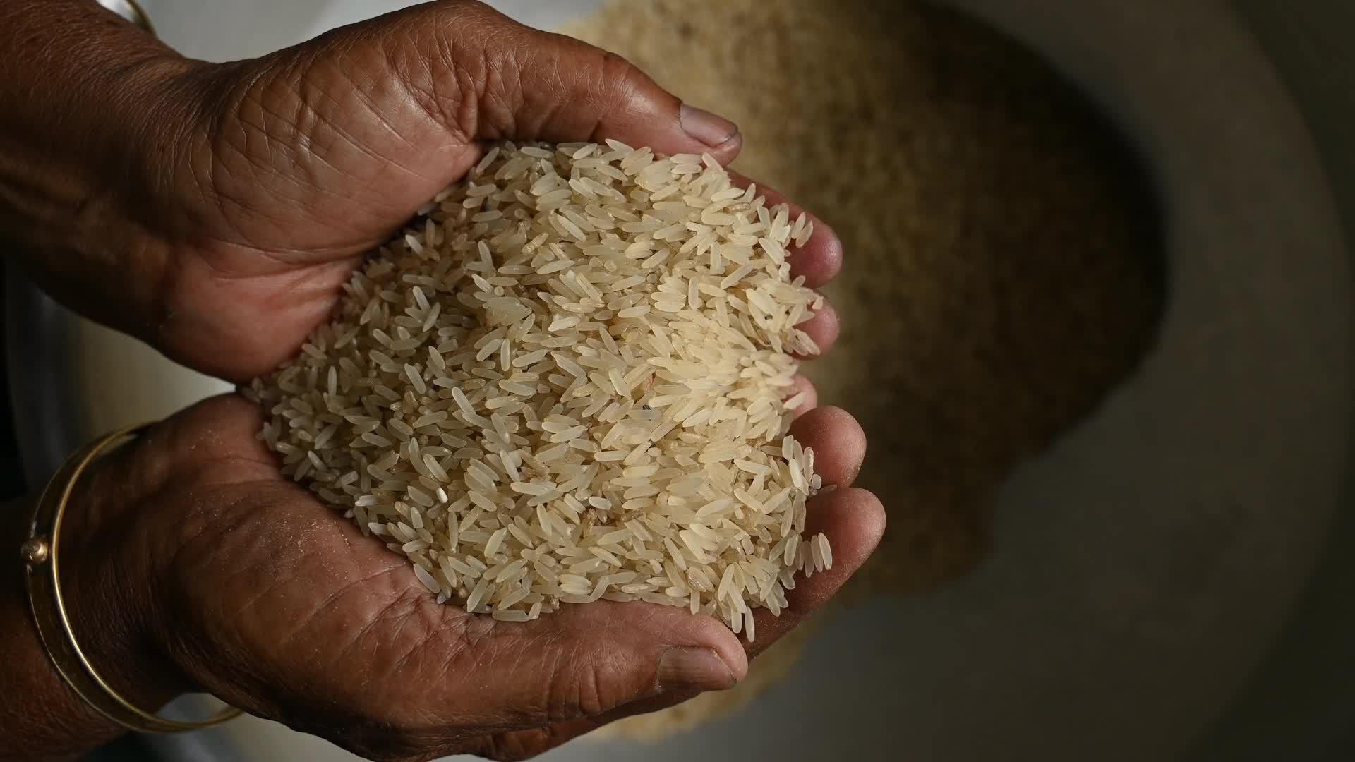 Rice winnowing - Traditional rice processing - Parboiled rice production in India