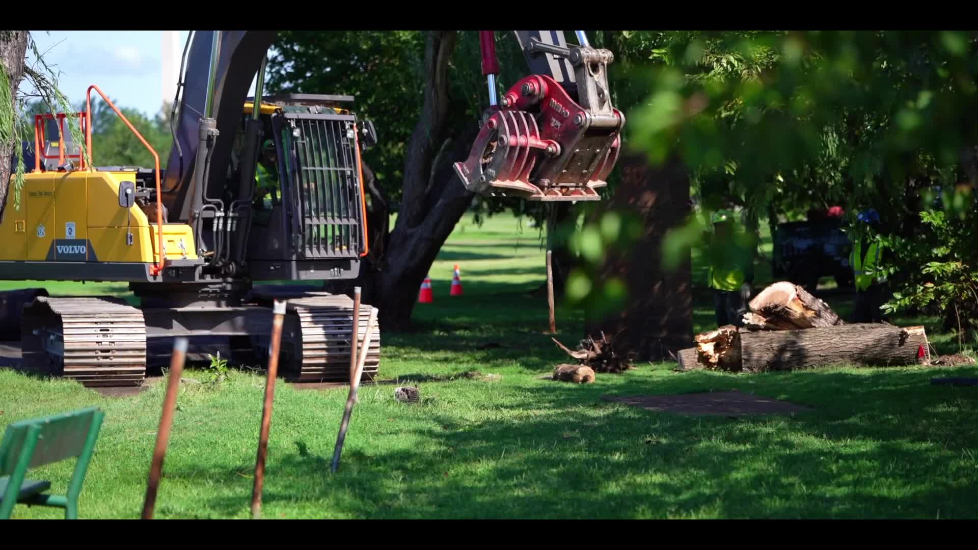 Workers Cut A Trees And Grid Stumps At East Potomac Golf Links