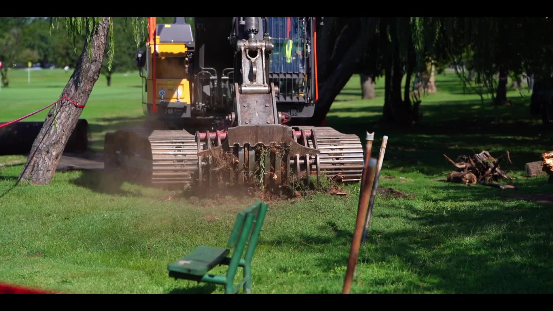 Workers Cut A Trees And Grid Stumps At East Potomac Golf Links