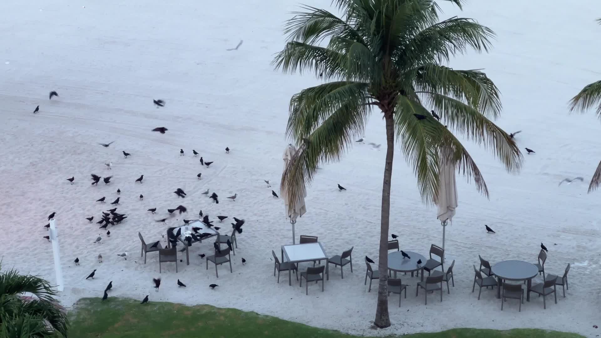 Daily life in Marco Island, Florida, USA