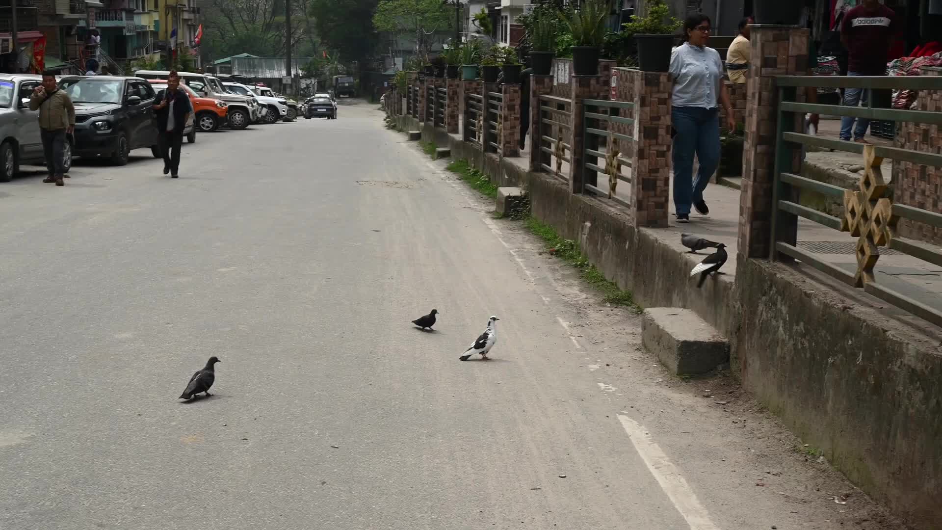 Rongli Market - East Sikkim's Trade Route - Historical Silk Route - Indian Economy