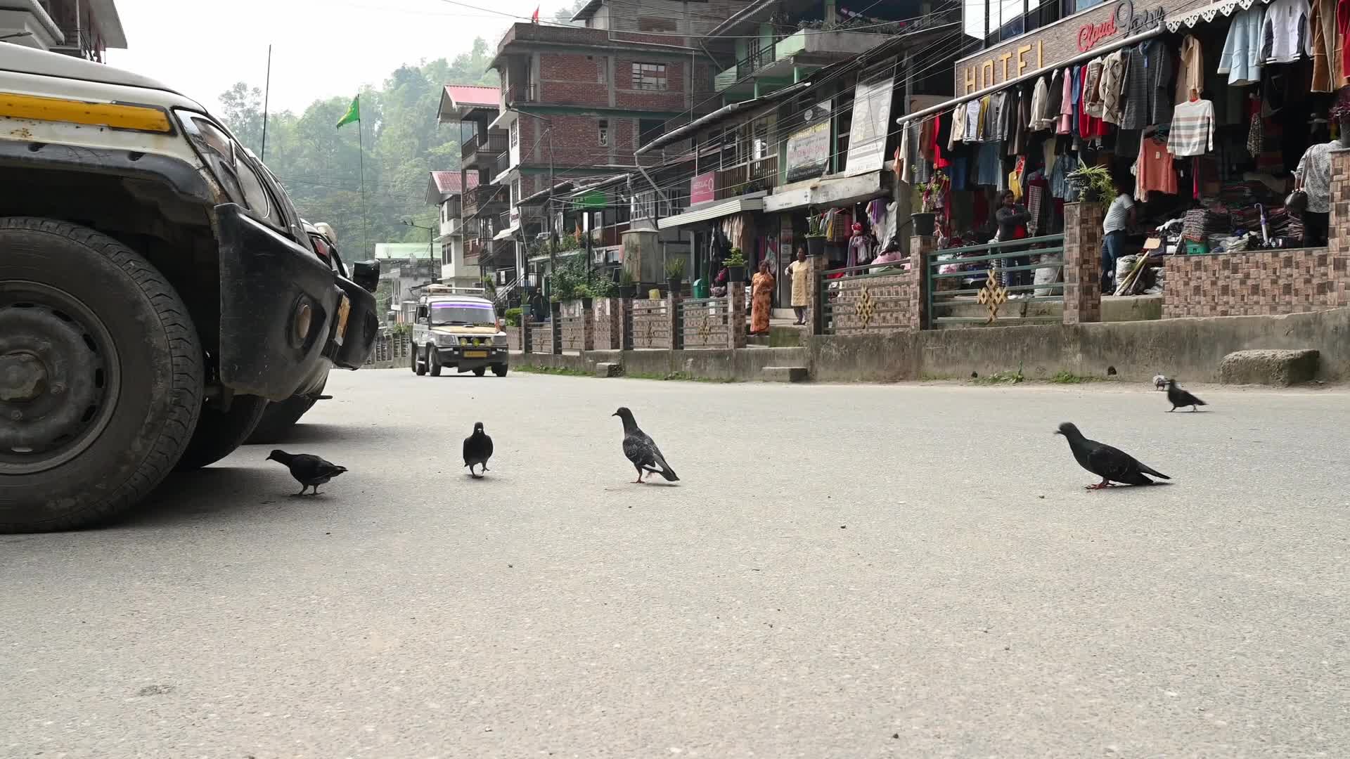 Rongli Market - East Sikkim's Trade Route - Historical Silk Route - Indian Economy