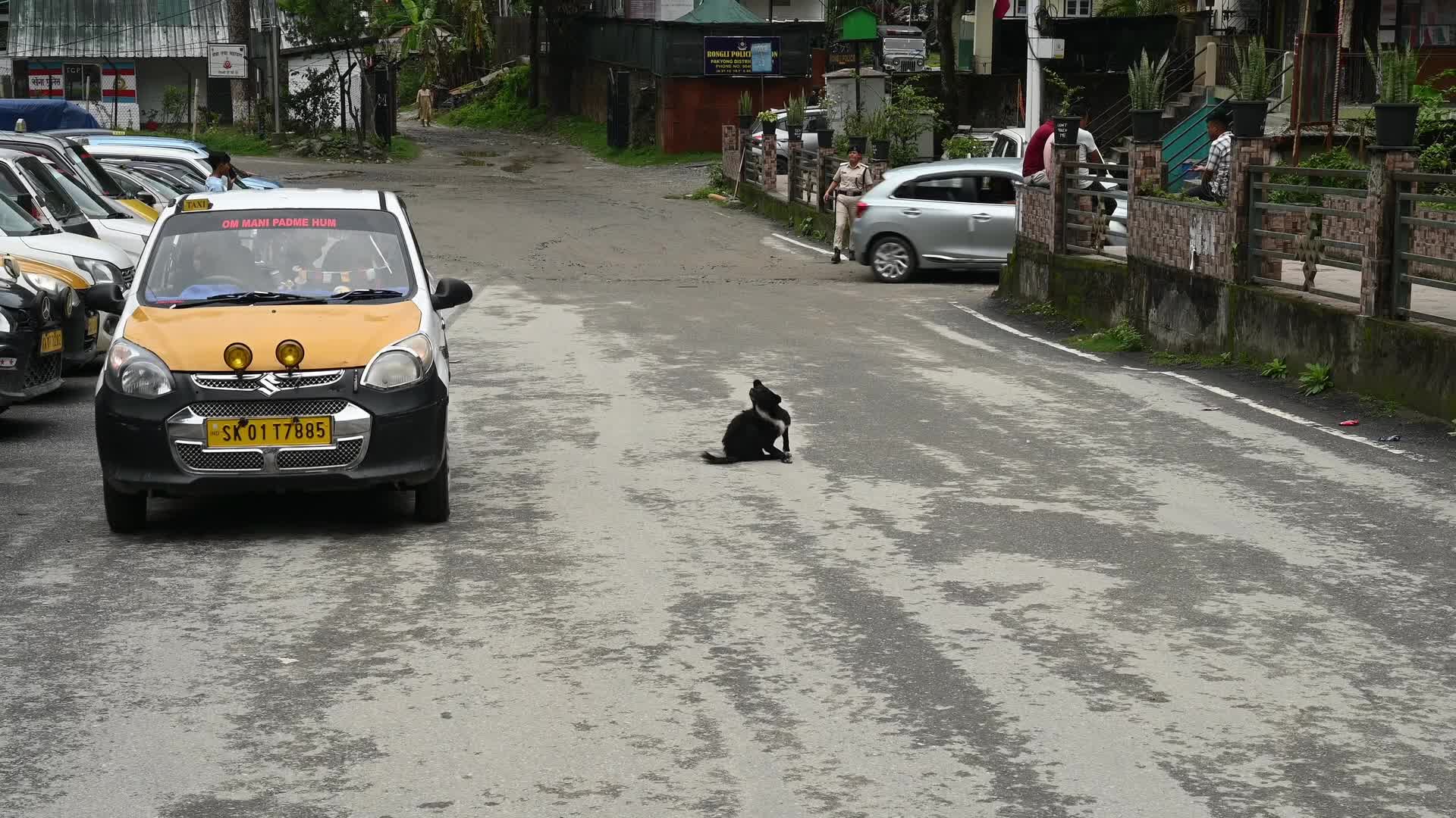 Rongli Market - East Sikkim's Trade Route - Historical Silk Route - Indian Economy