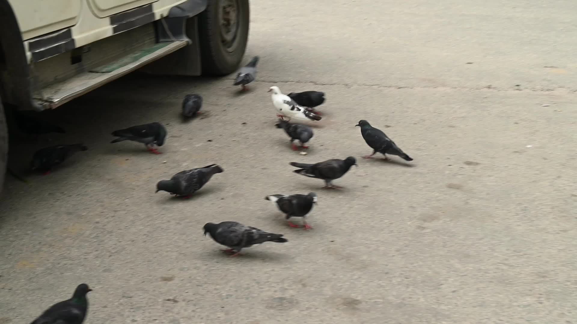 Rongli Market - East Sikkim's Trade Route - Historical Silk Route - Indian Economy