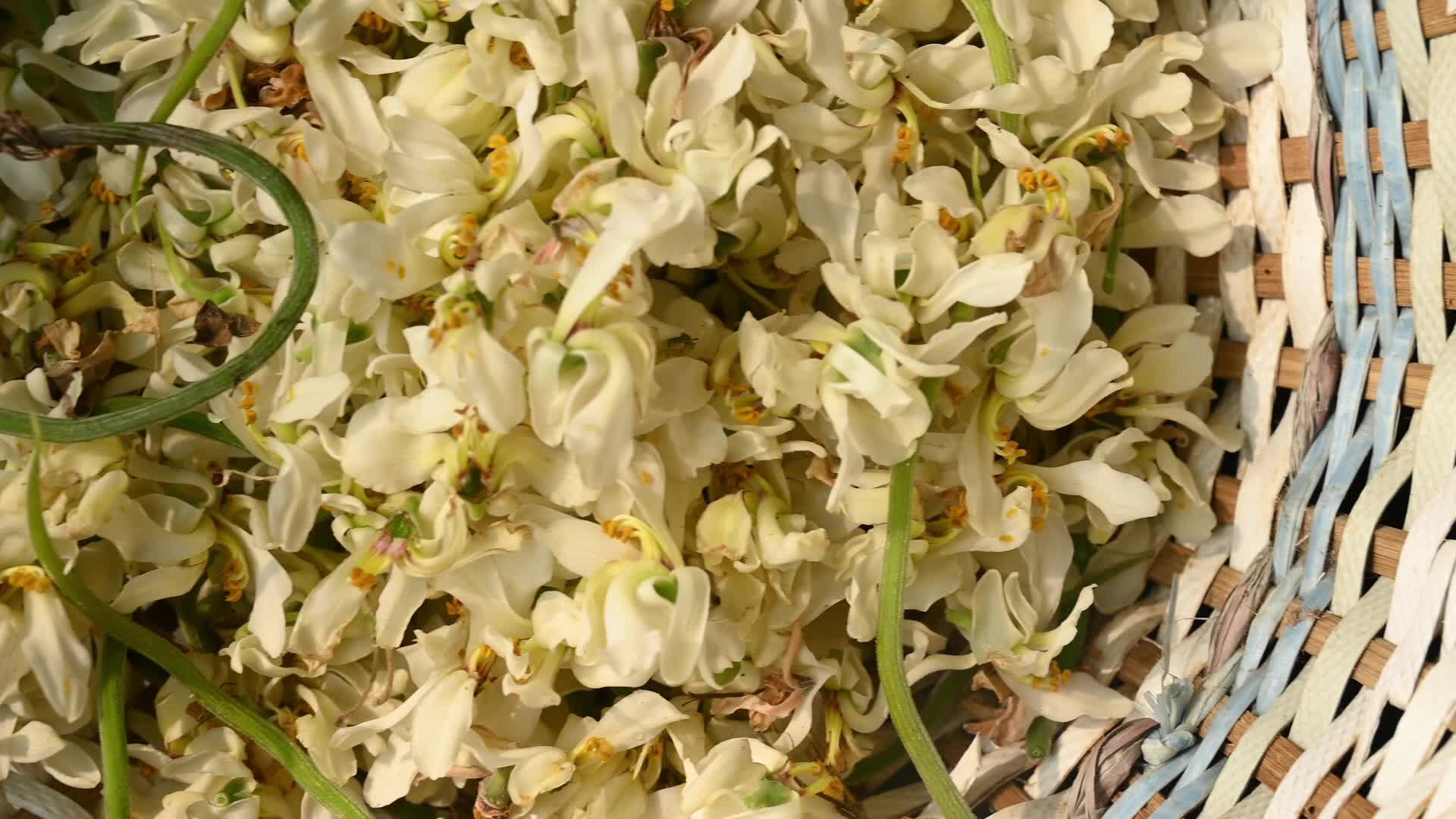 Edible Moringa flower - Nutritional value