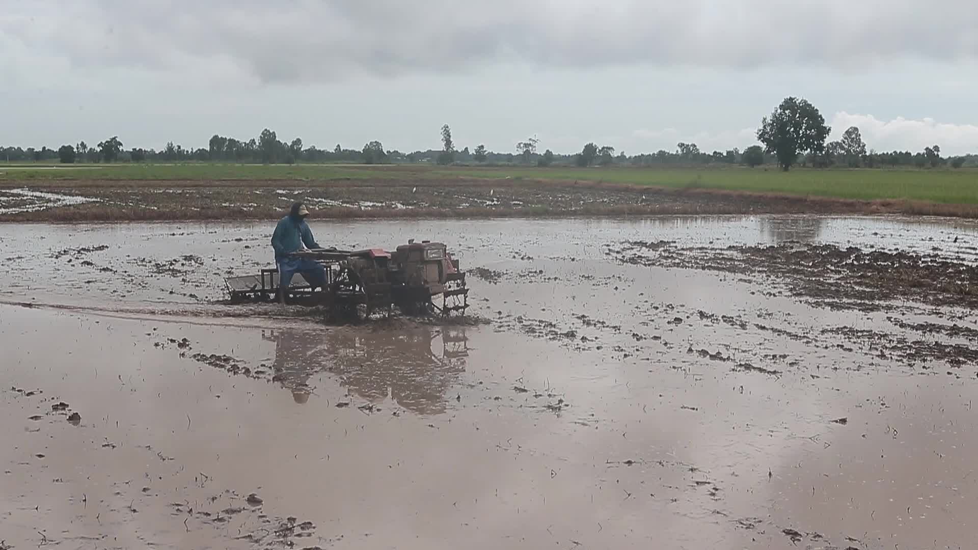 Daily LIfe In Thailand