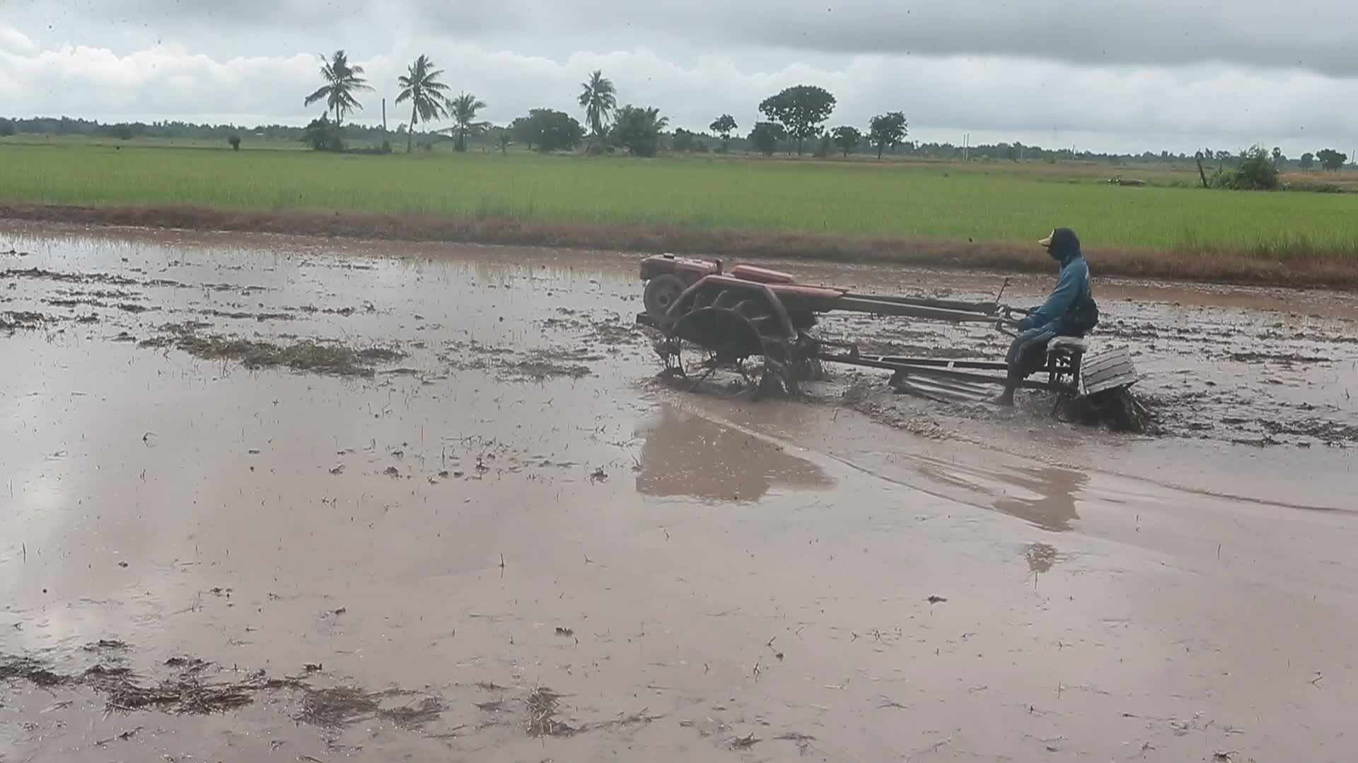 Daily LIfe In Thailand