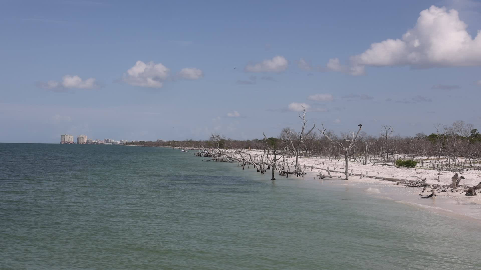 Daily life on Keewaydin Island
