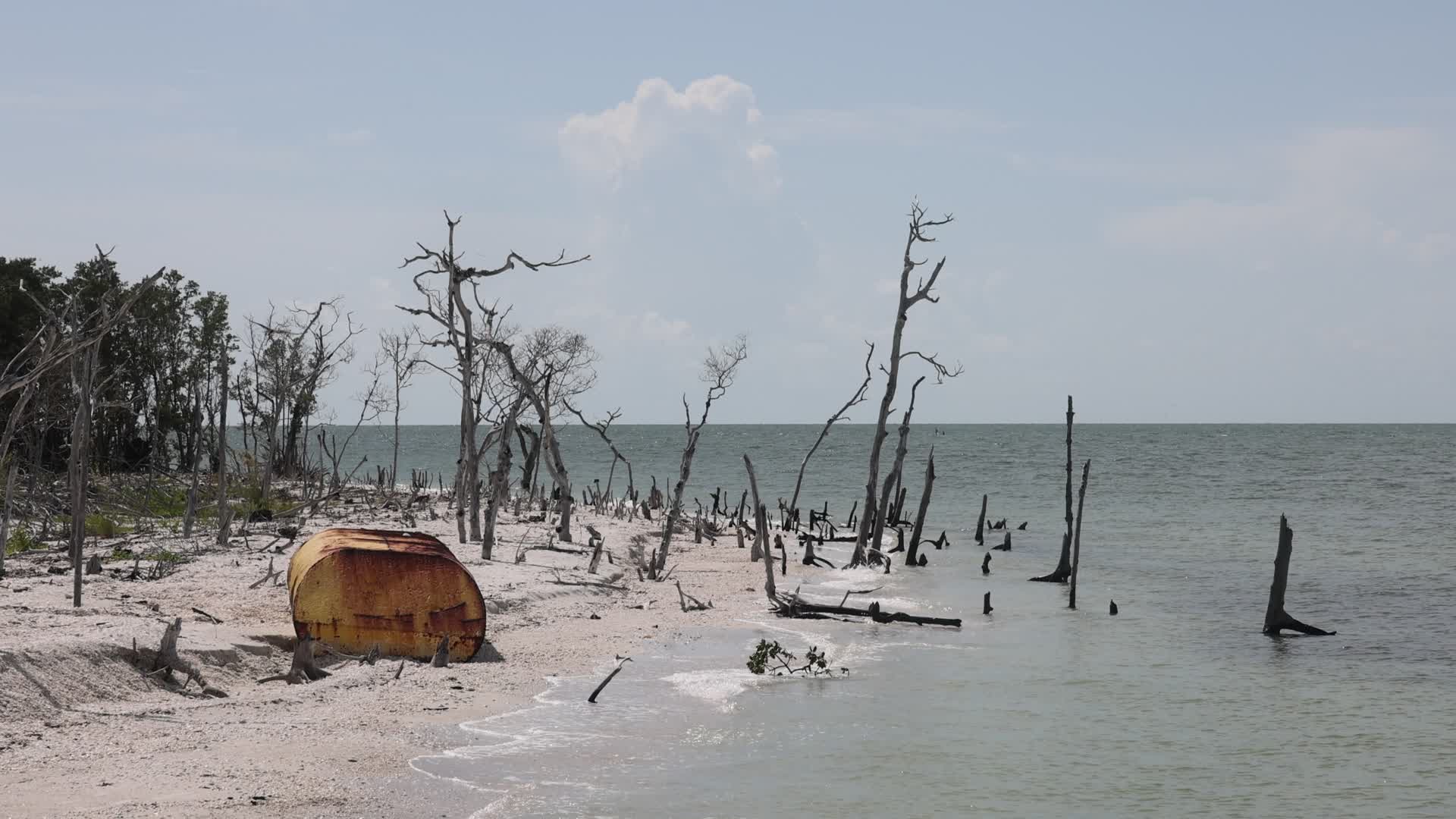Daily life on Keewaydin Island