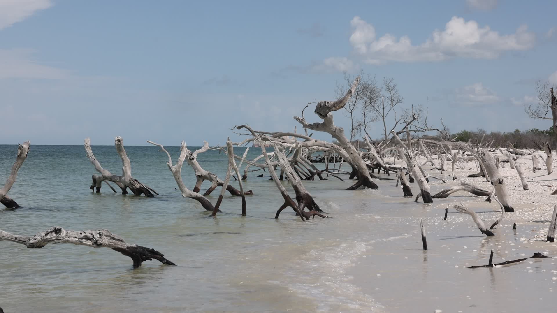 Daily life on Keewaydin Island